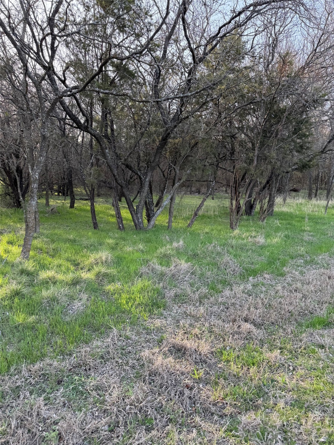 12147 Trailwood Drive Whitney TX 76692