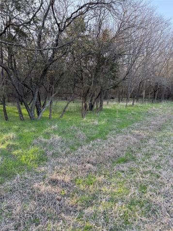 12147 Trailwood Drive Whitney TX 76692