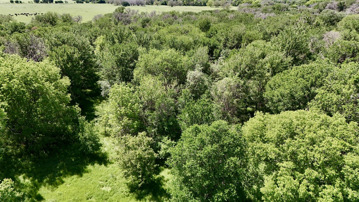 2031-A County Road 3310 Valley Mills TX 76689