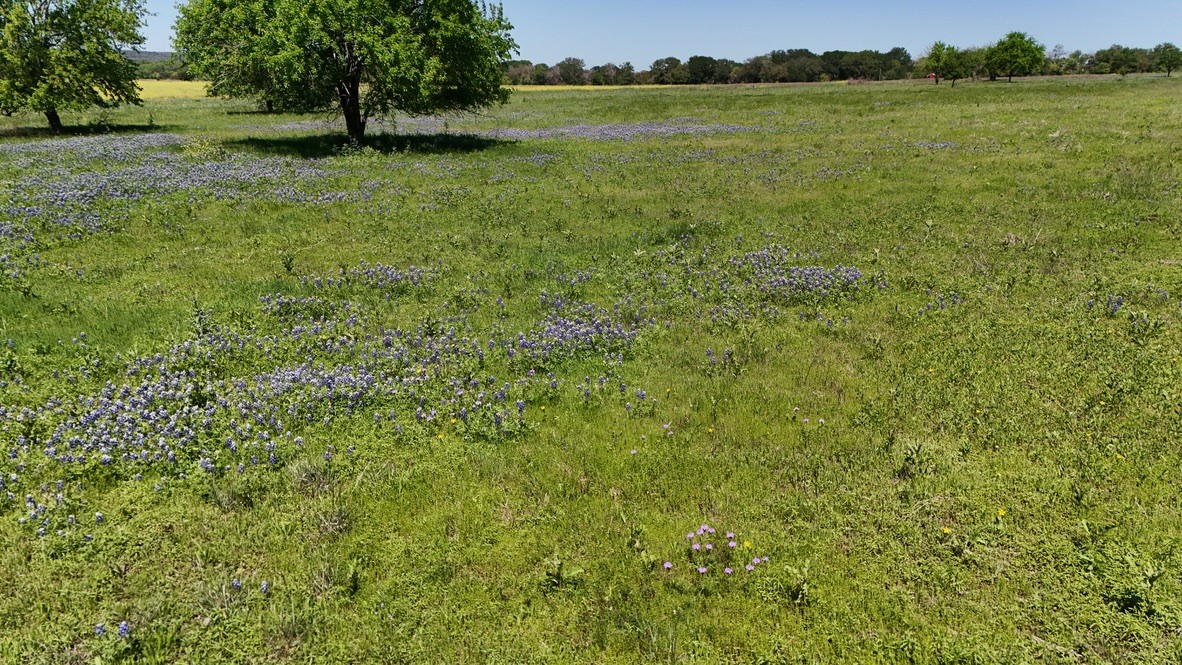 2031-A County Road 3310 Valley Mills TX 76689