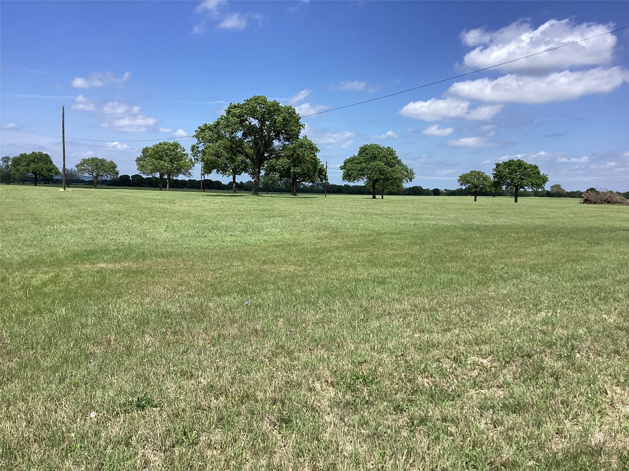Tbd Brown Palo Pinto TX 76484
