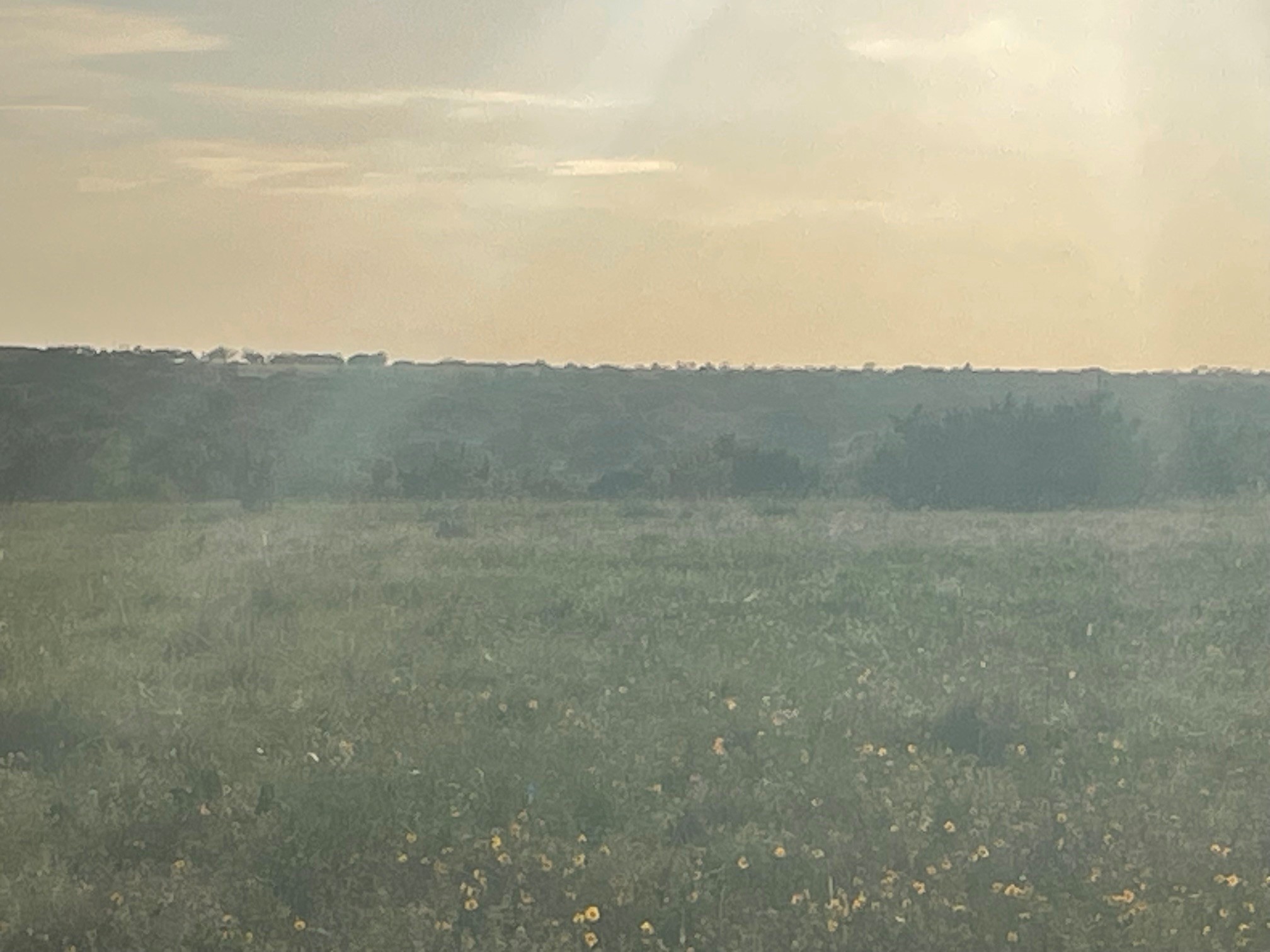 200 Pr 16028 Road Hamilton TX 76531