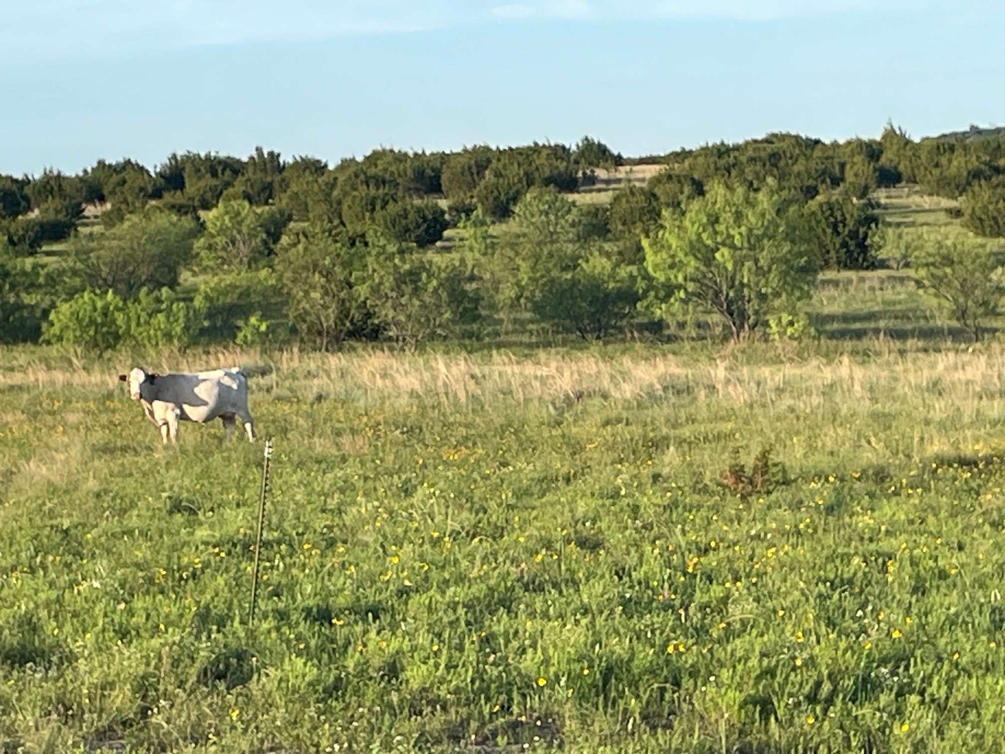 200 Pr 16028 Road Hamilton TX 76531