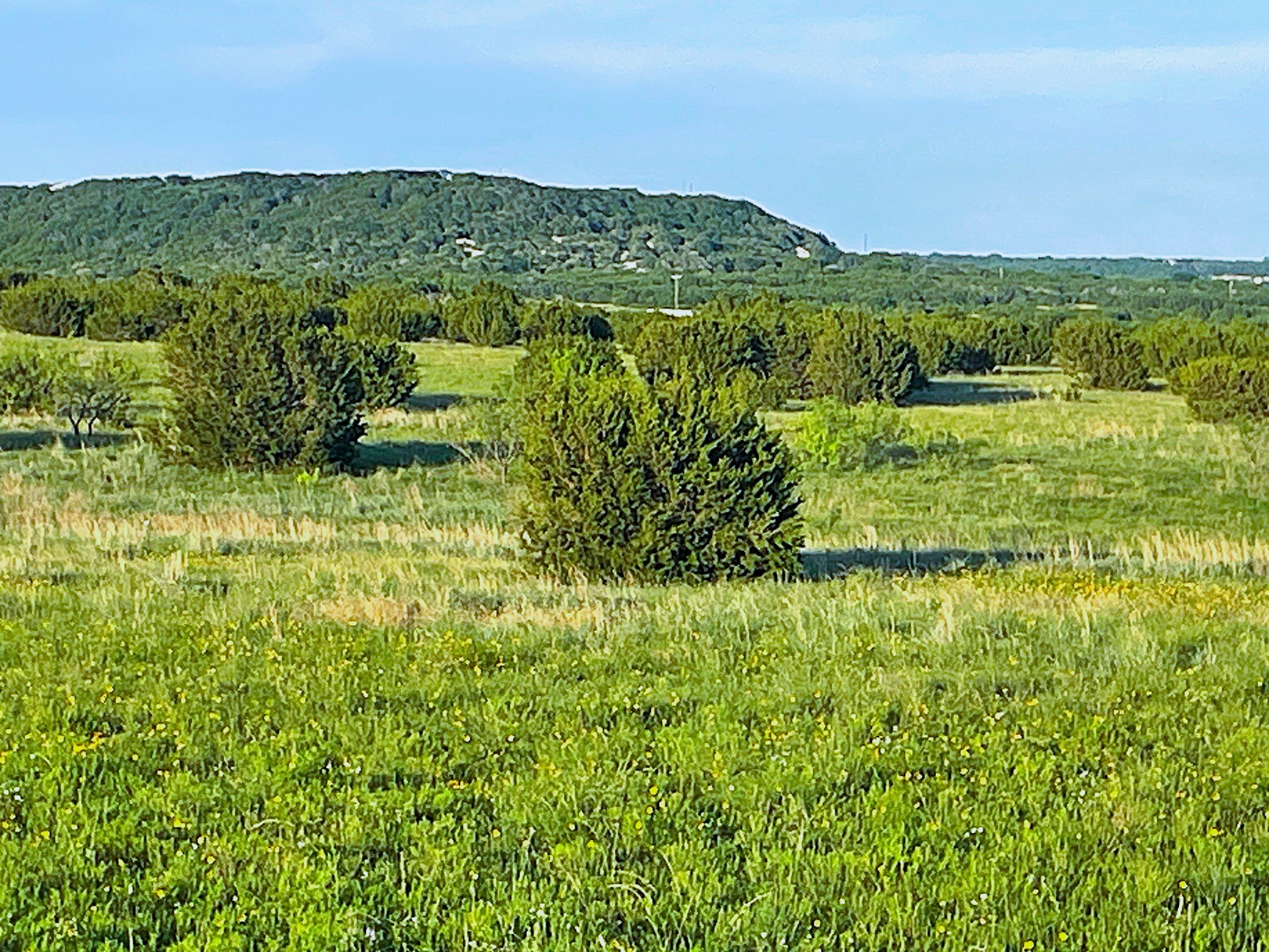 200 Pr 16028 Road Hamilton TX 76531