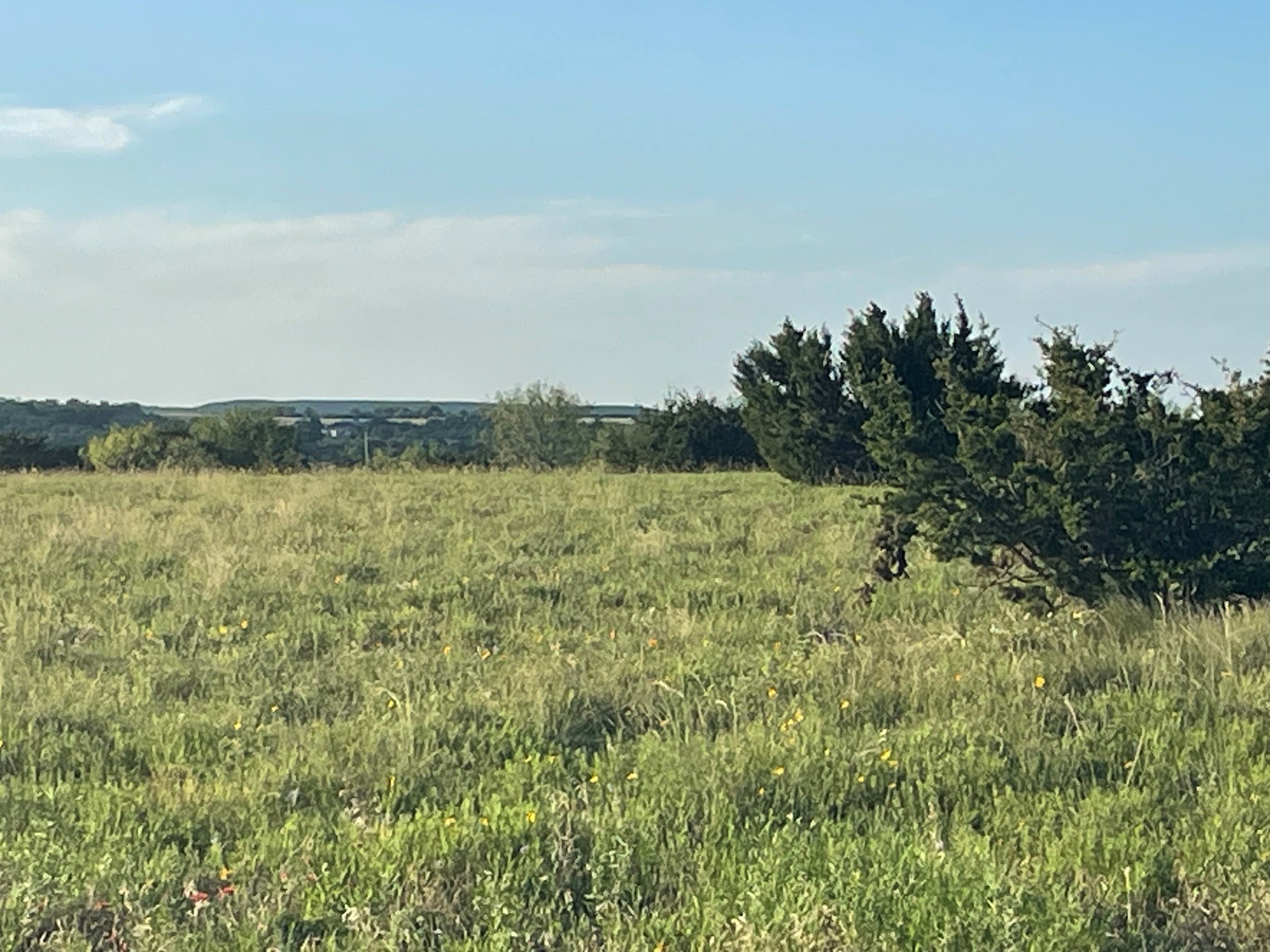 200 Pr 16028 Road Hamilton TX 76531