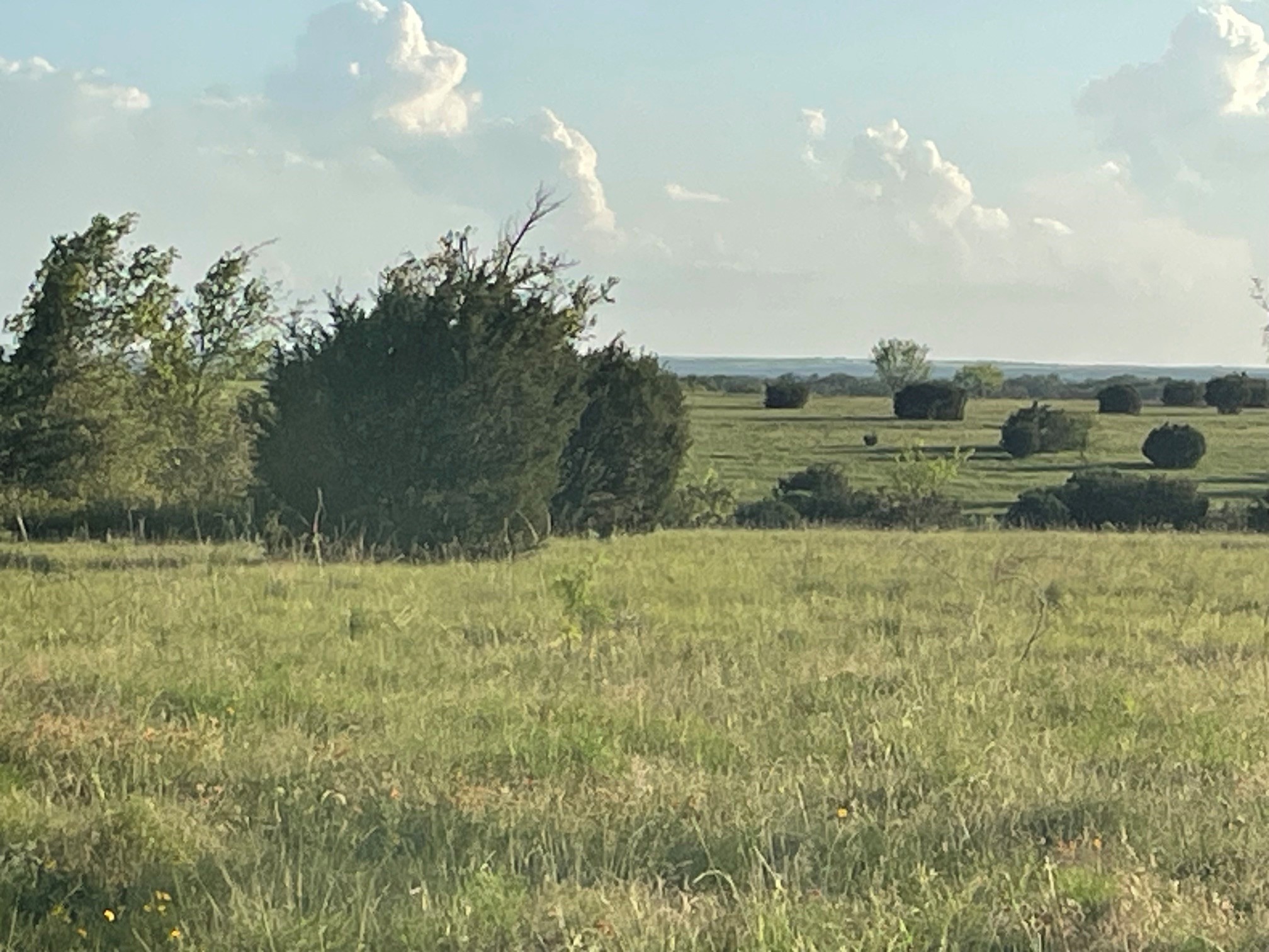 200 Pr 16028 Road Hamilton TX 76531