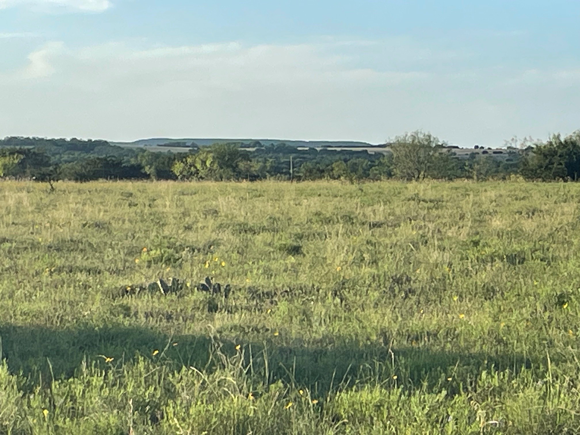 200 Pr 16028 Road Hamilton TX 76531