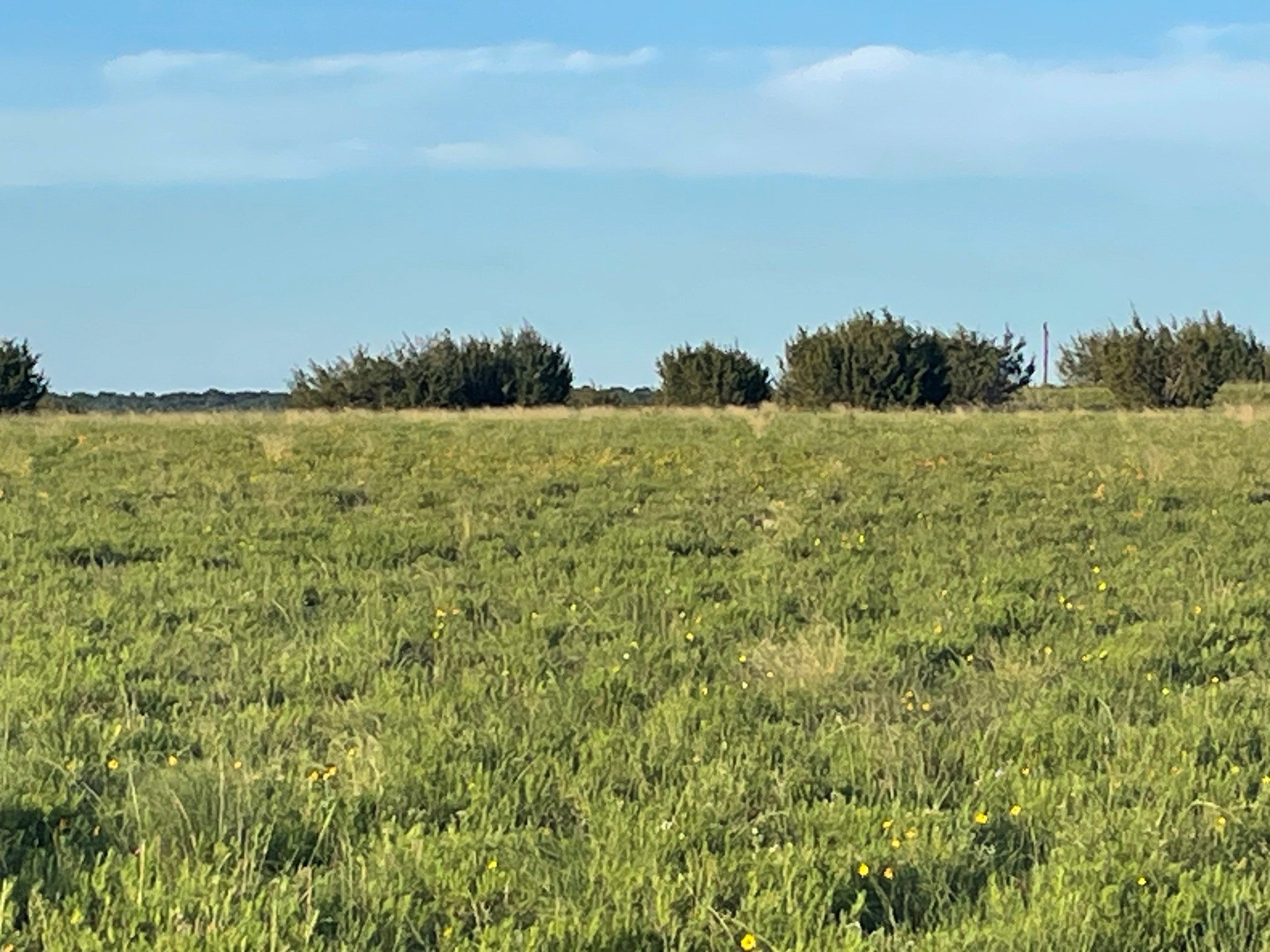 200 Pr 16028 Road Hamilton TX 76531