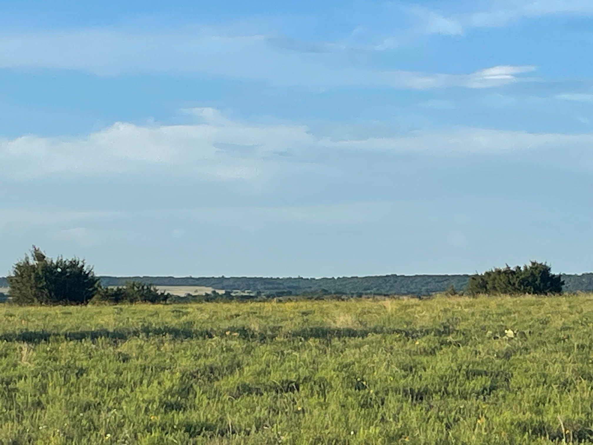 200 Pr 16028 Road Hamilton TX 76531