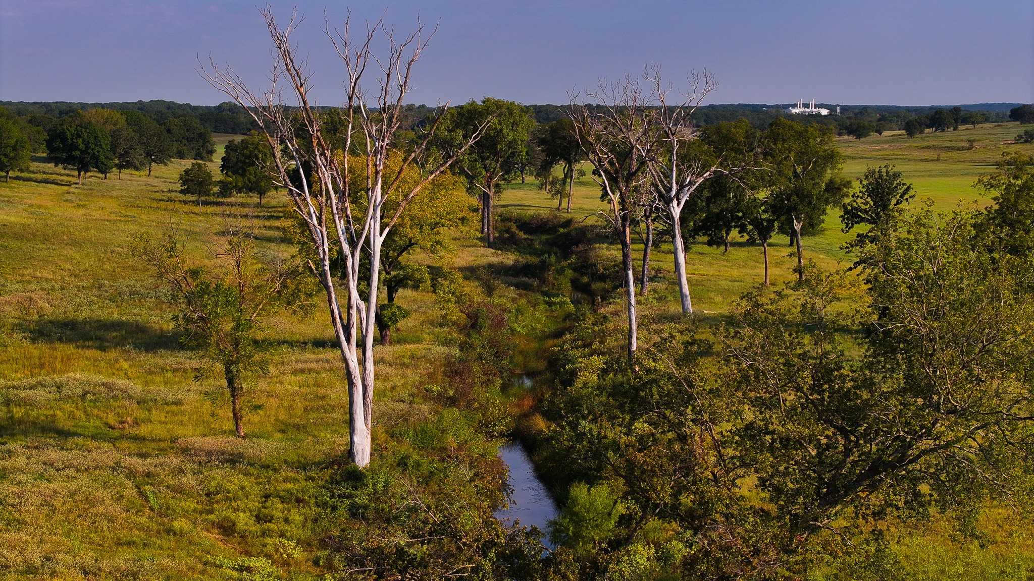 Tbd Hundley Road Montague TX 76251