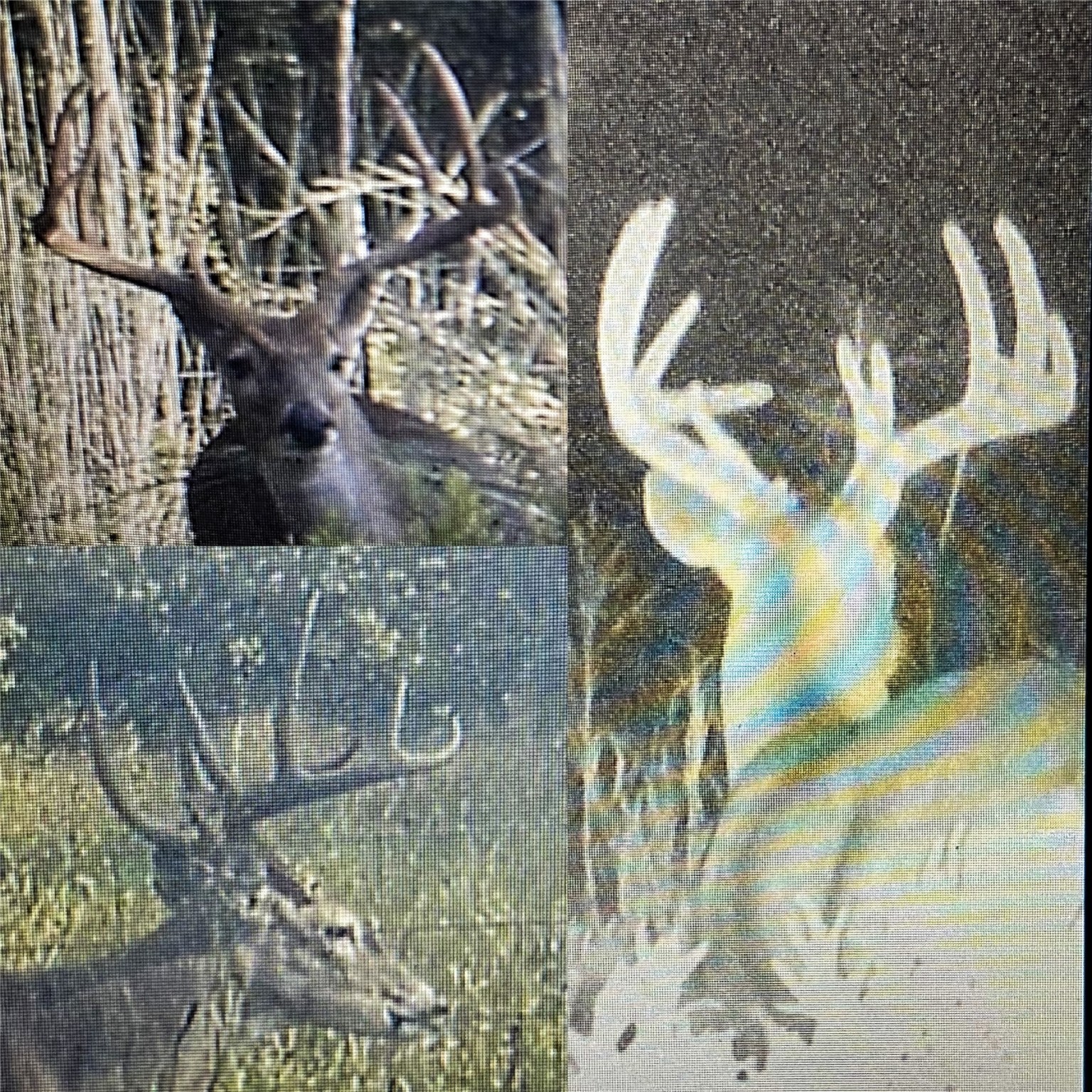 Tbd Hundley Road Montague TX 76251