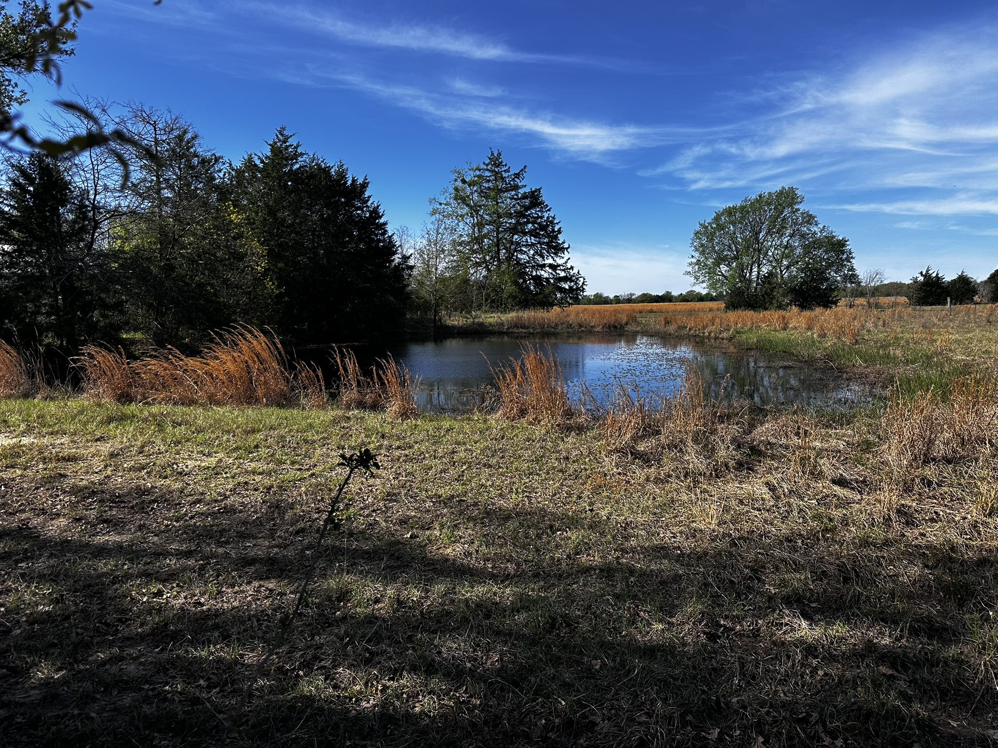 Tbd Vz County Road 3504 Wills Point TX 75169