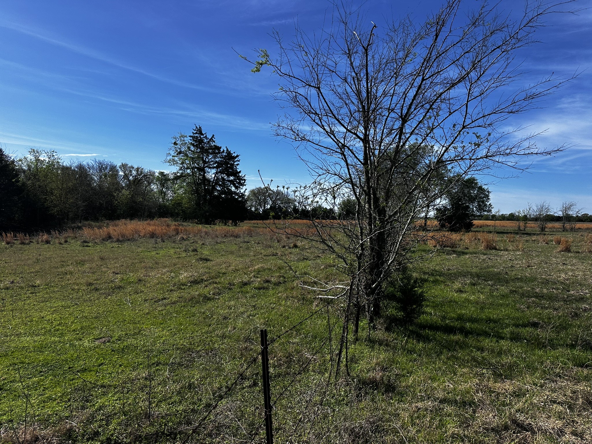Tbd Vz County Road 3504 Wills Point TX 75169