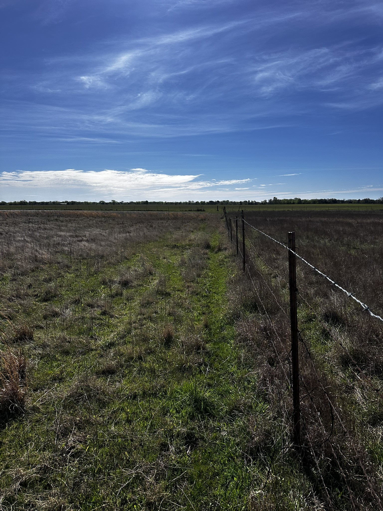 Tbd Vz County Road 3504 Wills Point TX 75169