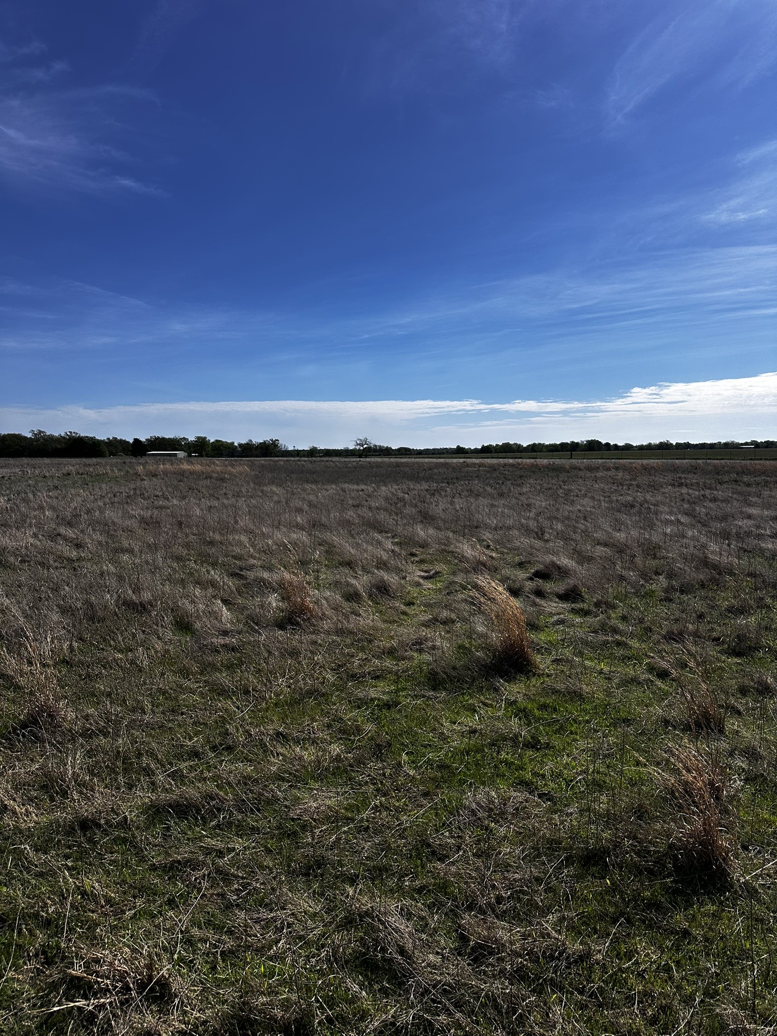 Tbd Vz County Road 3504 Wills Point TX 75169