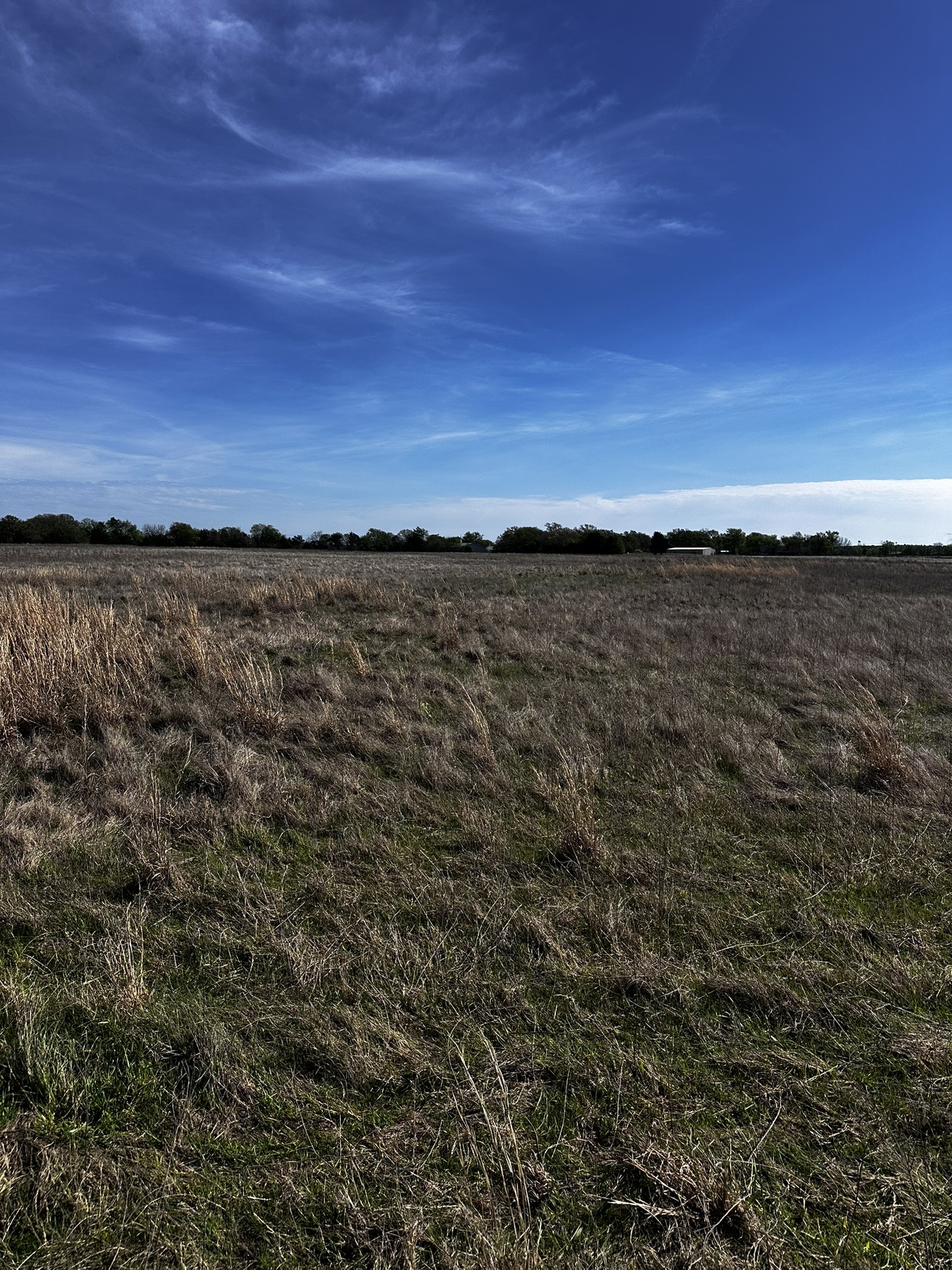 Tbd Vz County Road 3504 Wills Point TX 75169