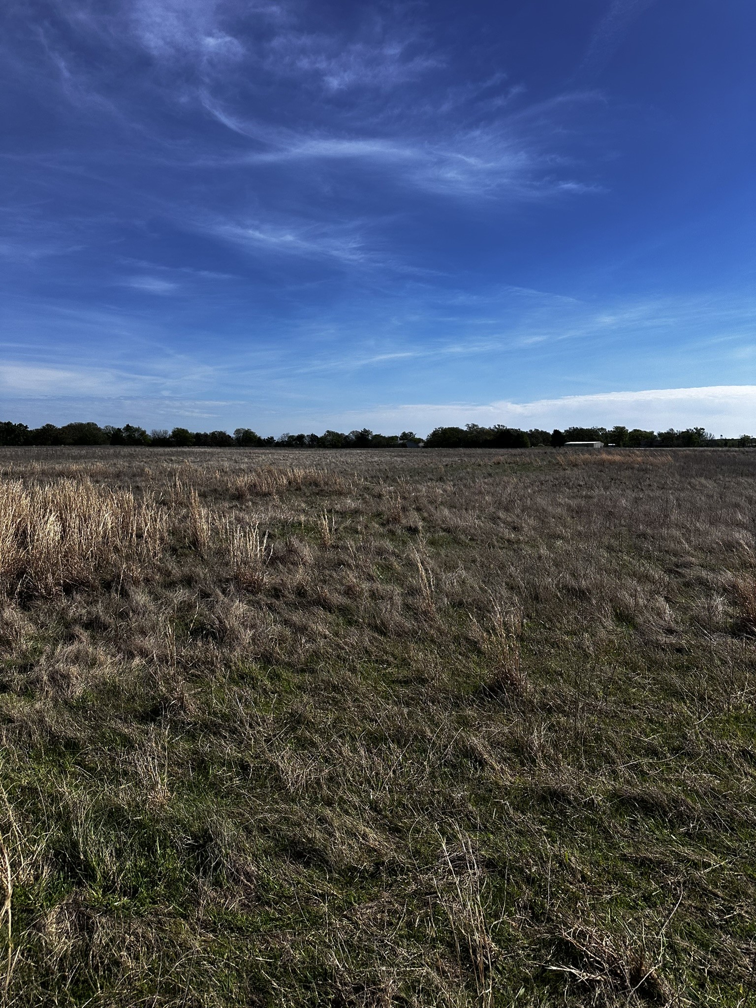 Tbd Vz County Road 3504 Wills Point TX 75169