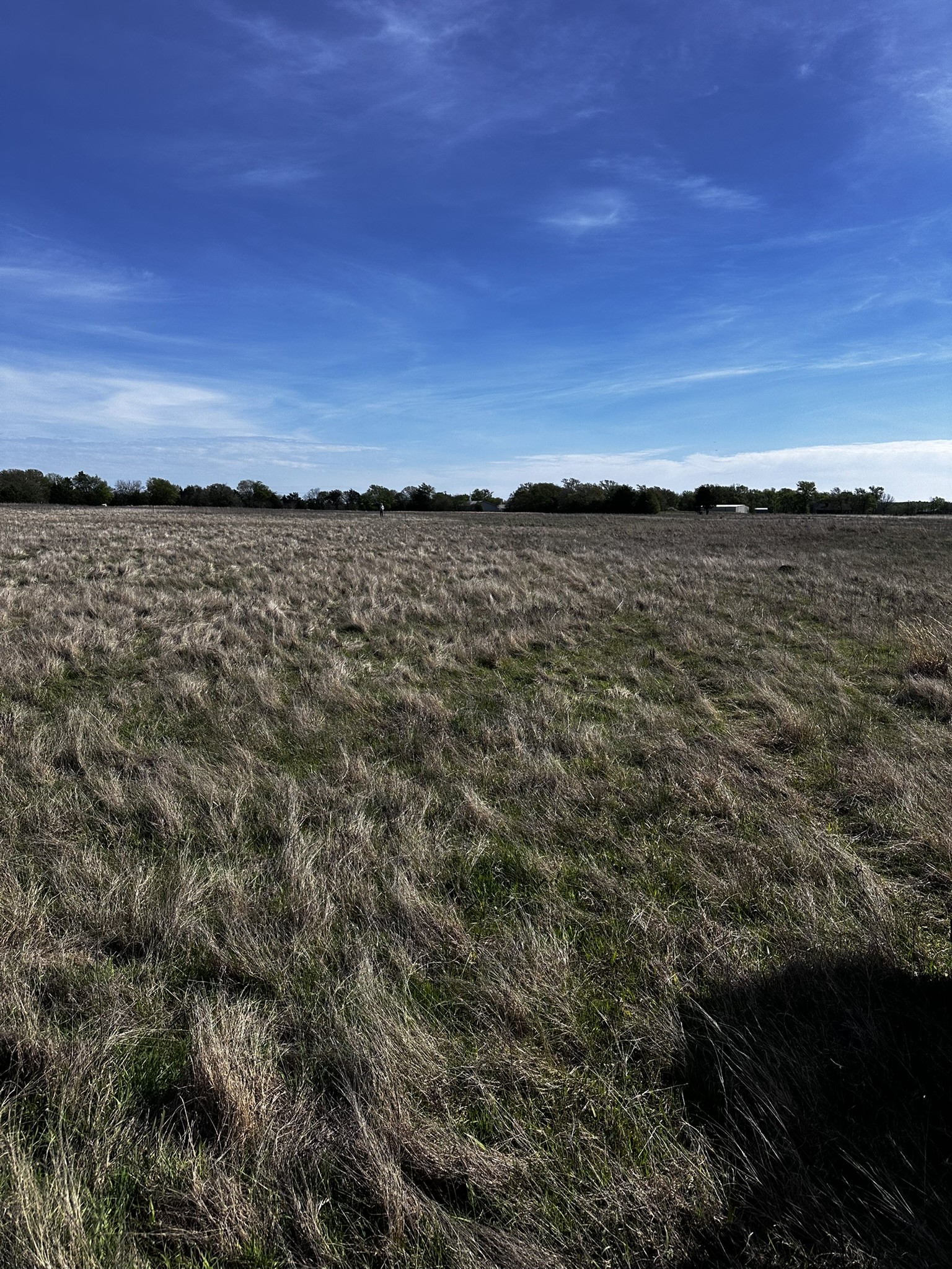 Tbd Vz County Road 3504 Wills Point TX 75169
