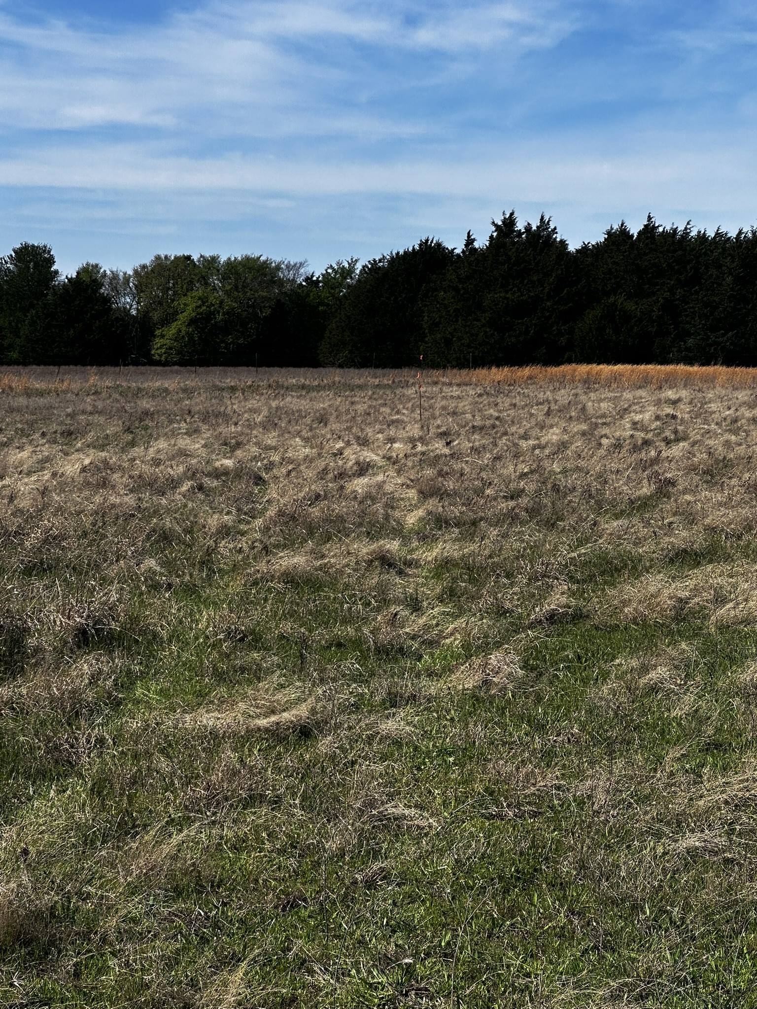 Tbd Vz County Road 3504 Wills Point TX 75169