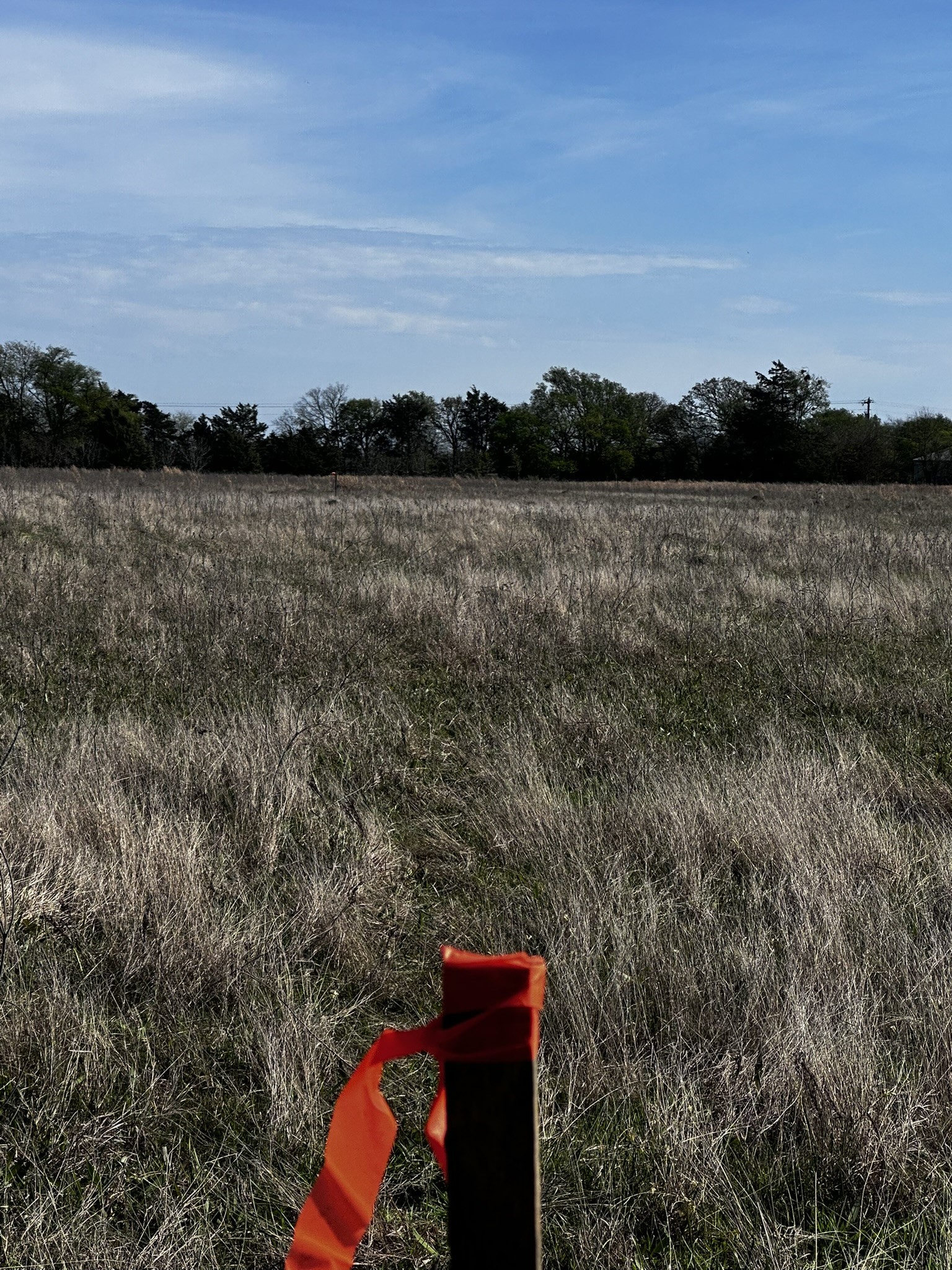 Tbd Vz County Road 3504 Wills Point TX 75169