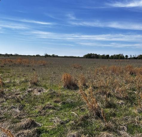 Tbd Vz County Road 3504 Wills Point TX 75169