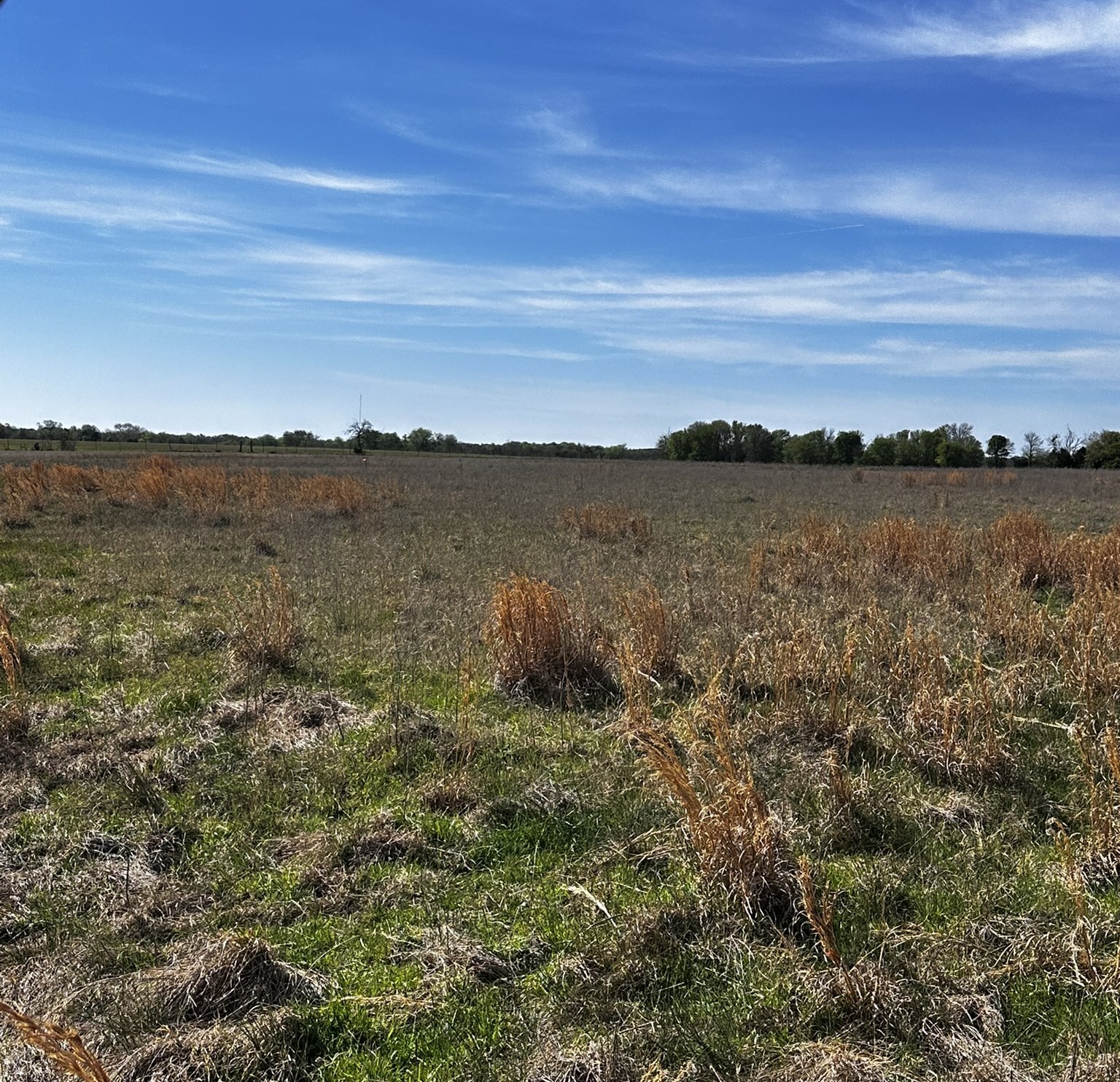 Tbd Vz County Road 3504 Wills Point TX 75169