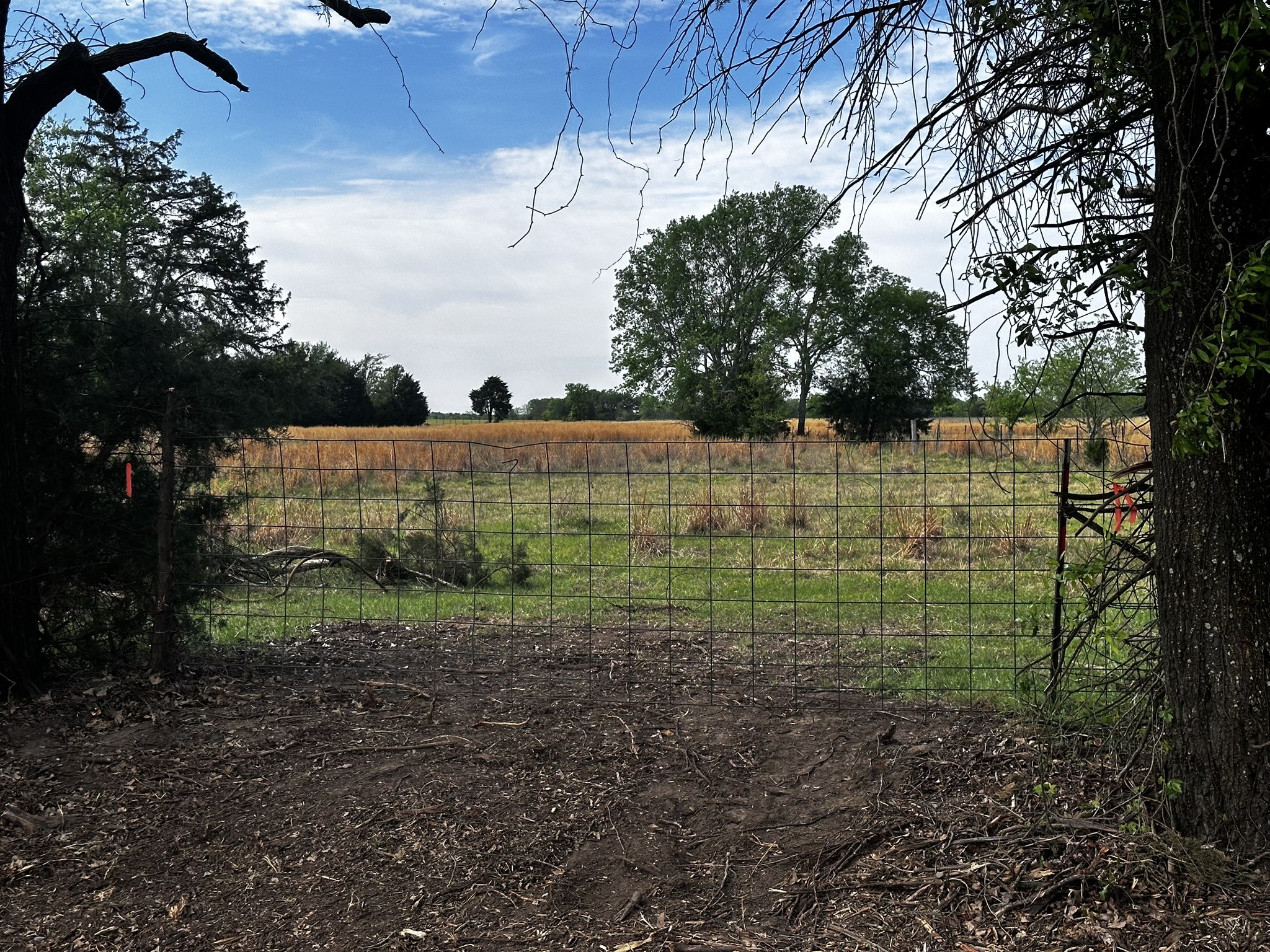 Tbd Vz County Road 3504 Wills Point TX 75169