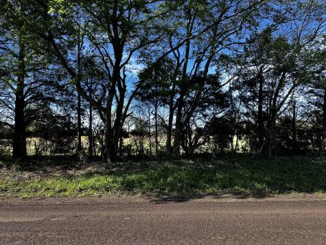 Tbd Vz County Road 3504 Wills Point TX 75169