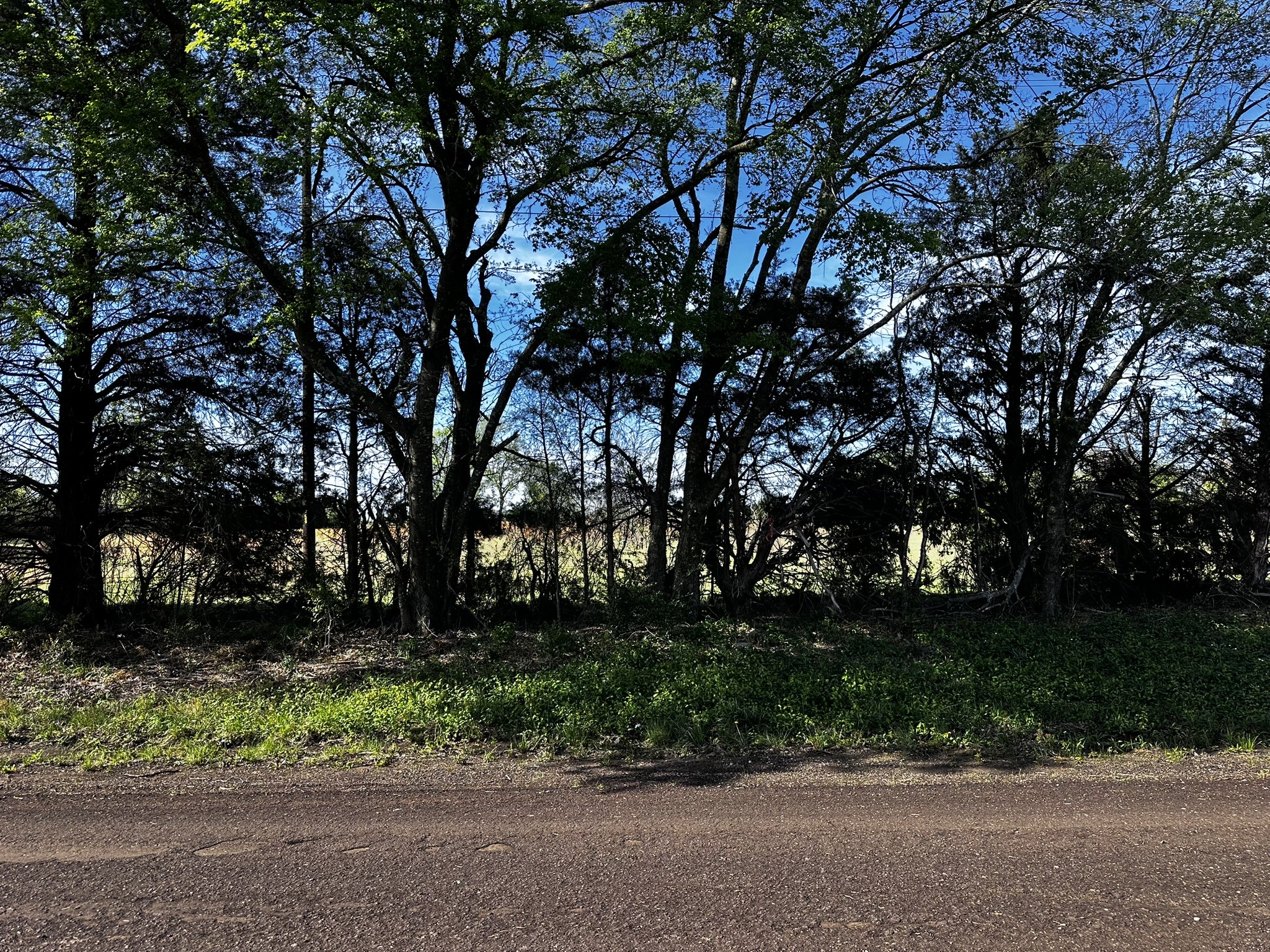 Tbd Vz County Road 3504 Wills Point TX 75169