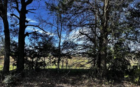 Tbd Vz County Road 3504 Wills Point TX 75169
