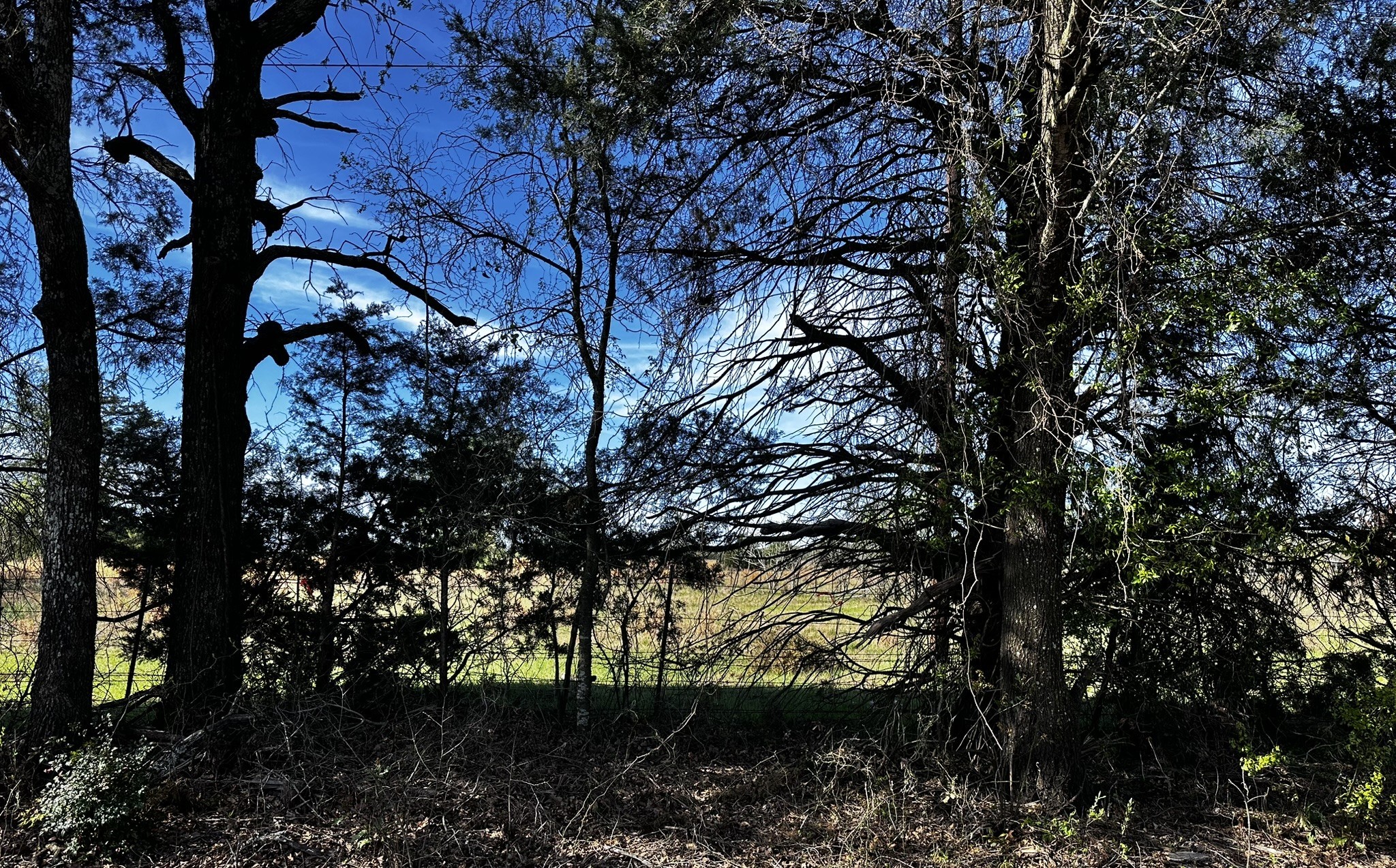 Tbd Vz County Road 3504 Wills Point TX 75169