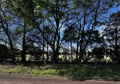 Tbd Vz County Road 3504 Wills Point TX 75169