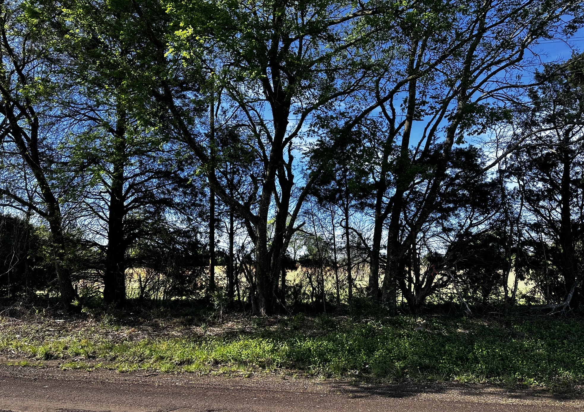 Tbd Vz County Road 3504 Wills Point TX 75169