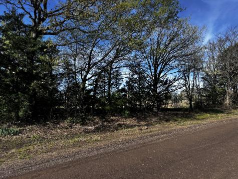 Tbd Vz County Road 3504 Wills Point TX 75169