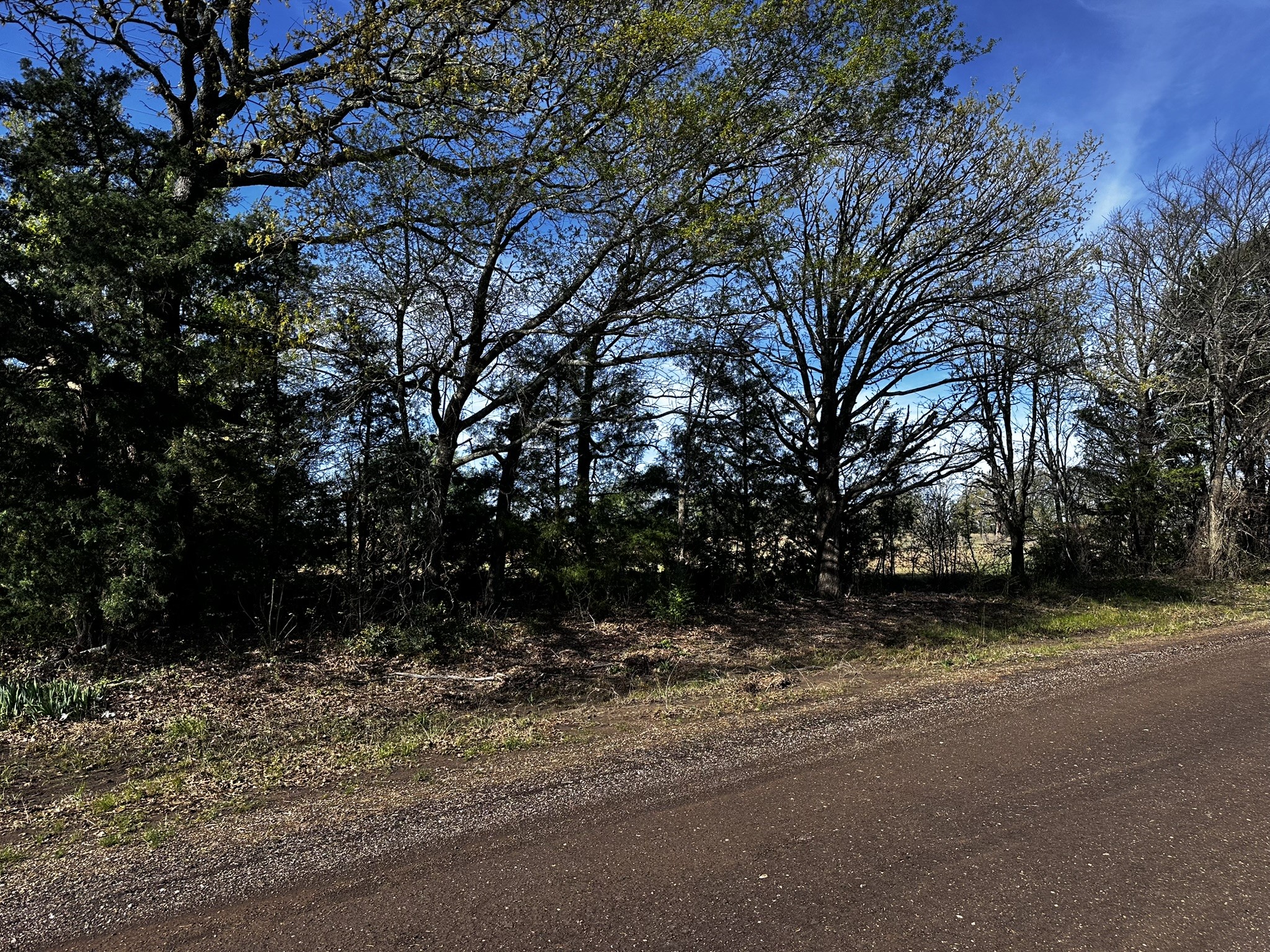 Tbd Vz County Road 3504 Wills Point TX 75169