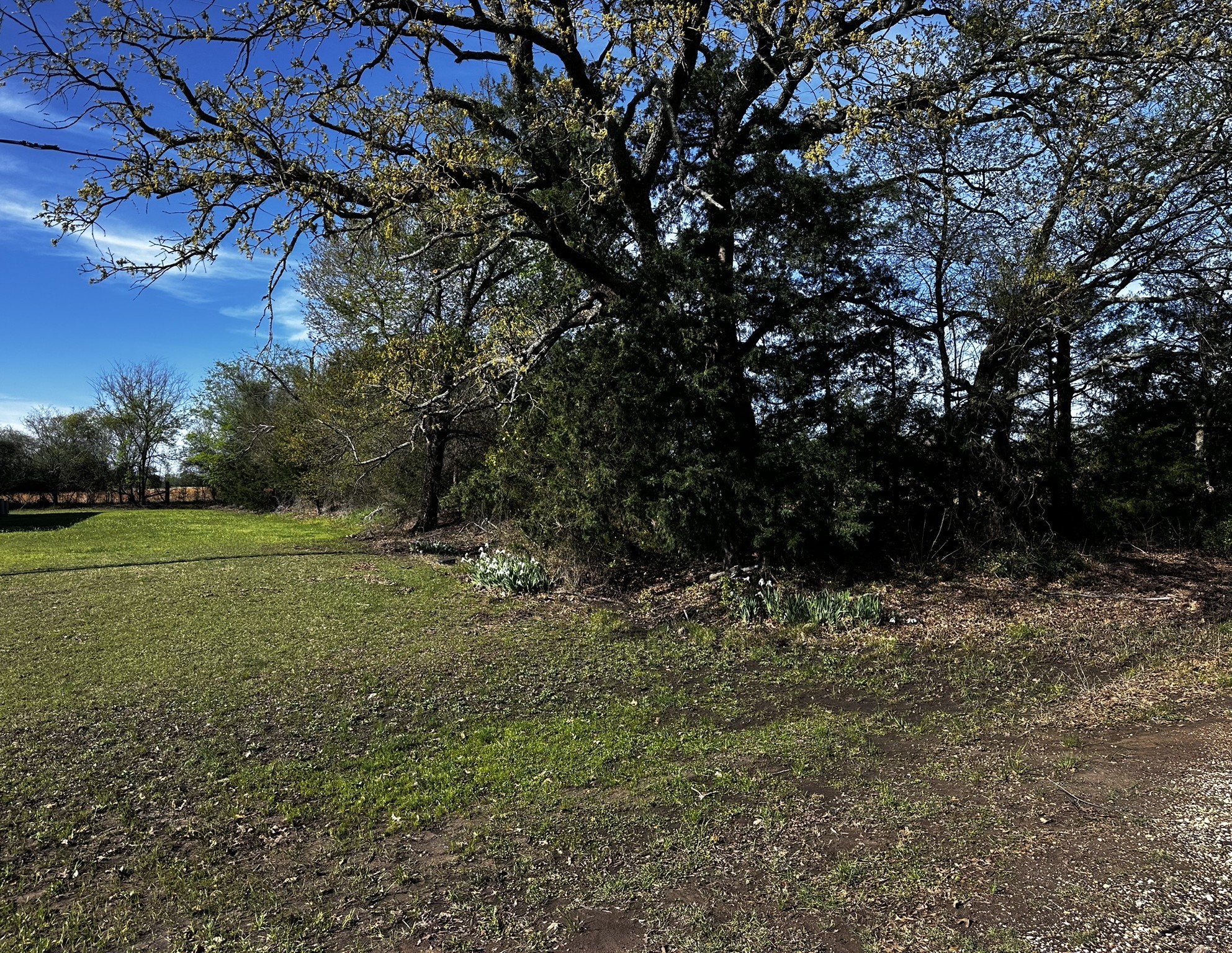 Tbd Vz County Road 3504 Wills Point TX 75169