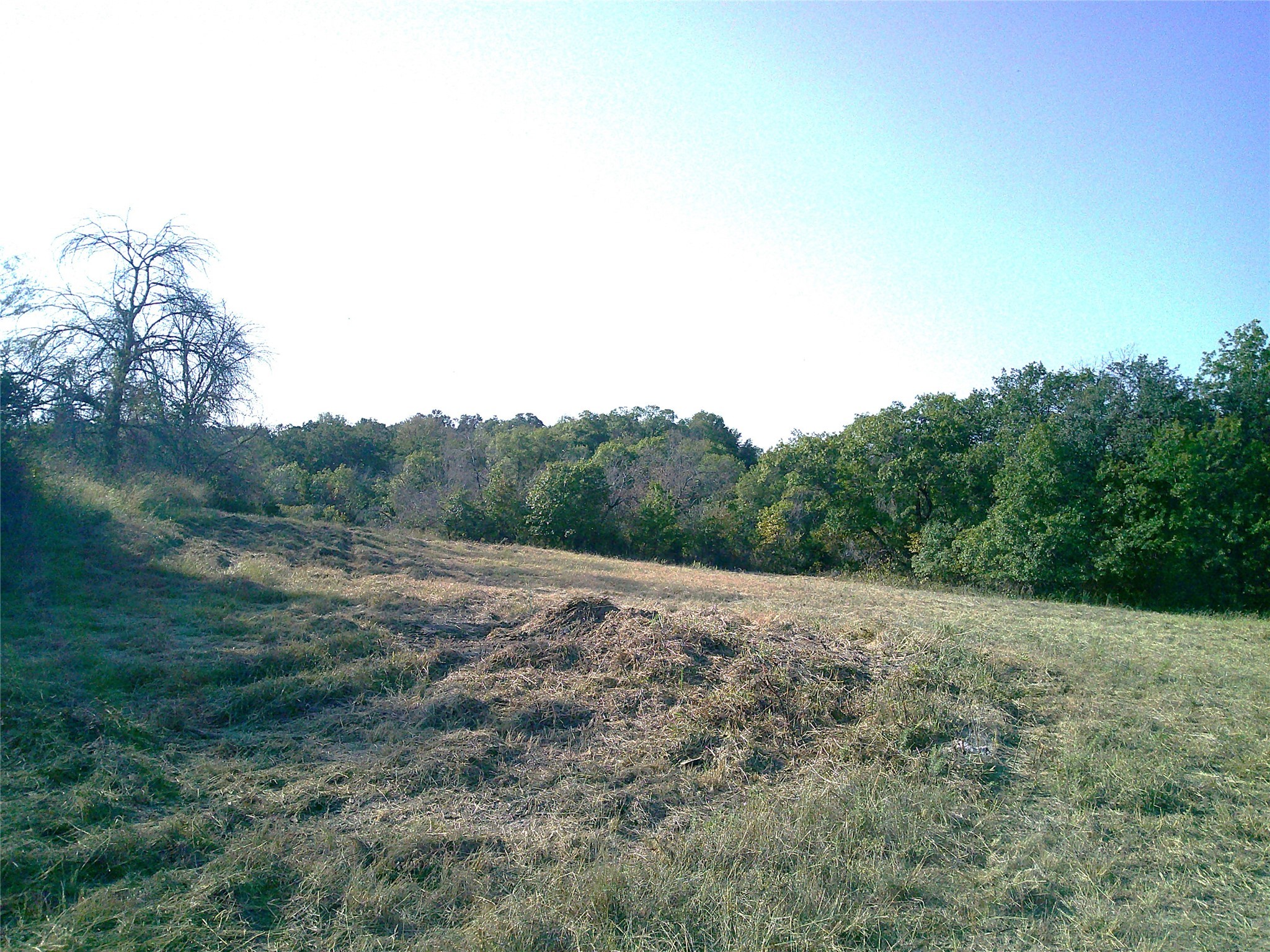 72 Ac Cr 3677 Paradise TX 76073