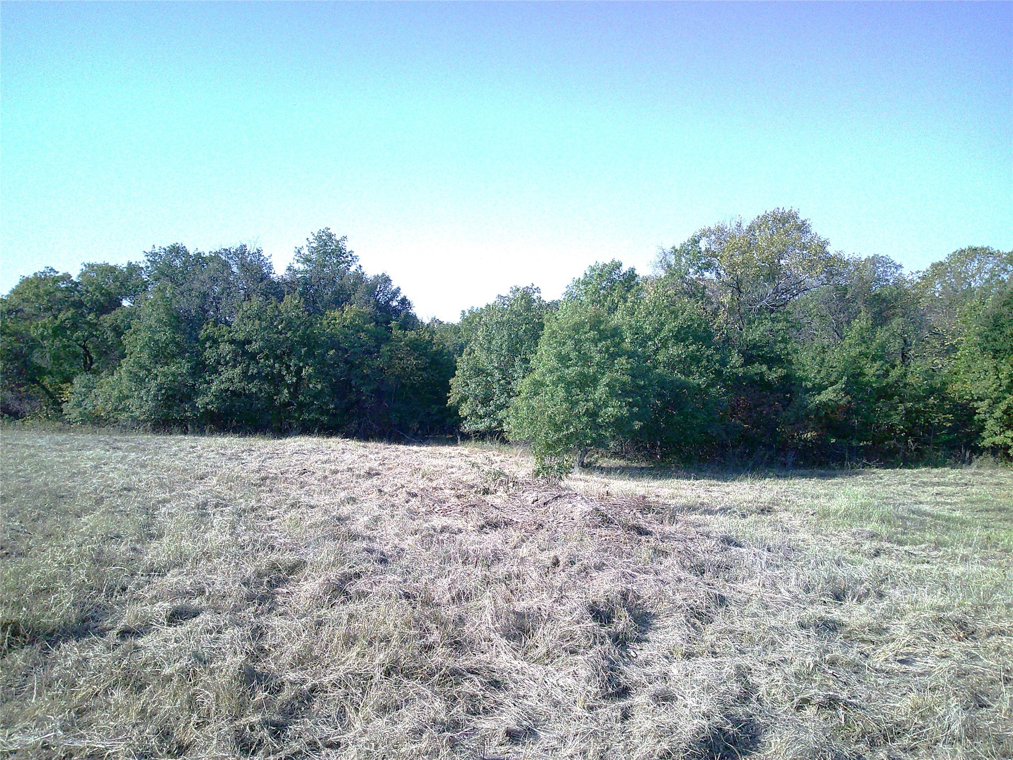 72 Ac Cr 3677 Paradise TX 76073