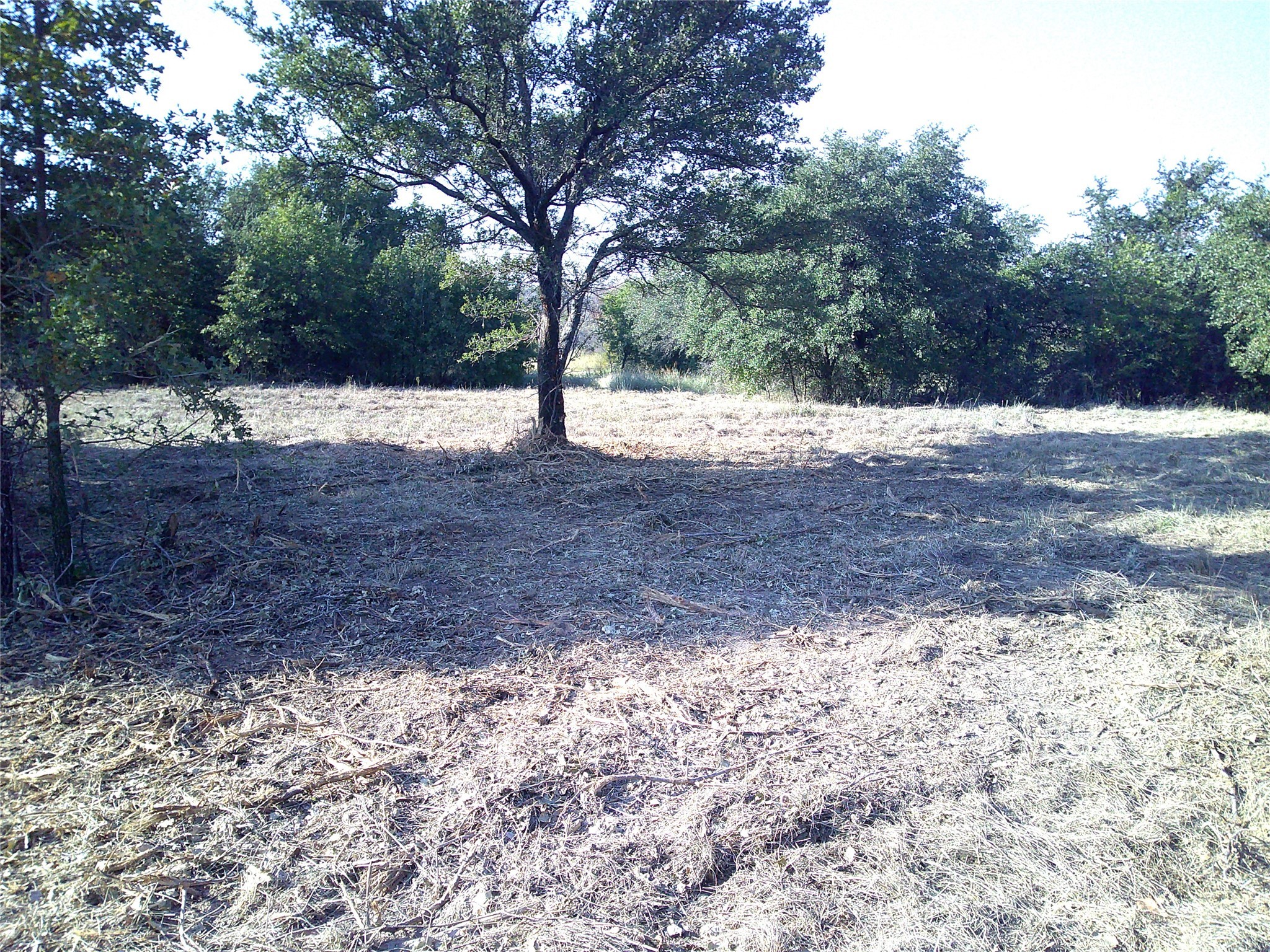 72 Ac Cr 3677 Paradise TX 76073
