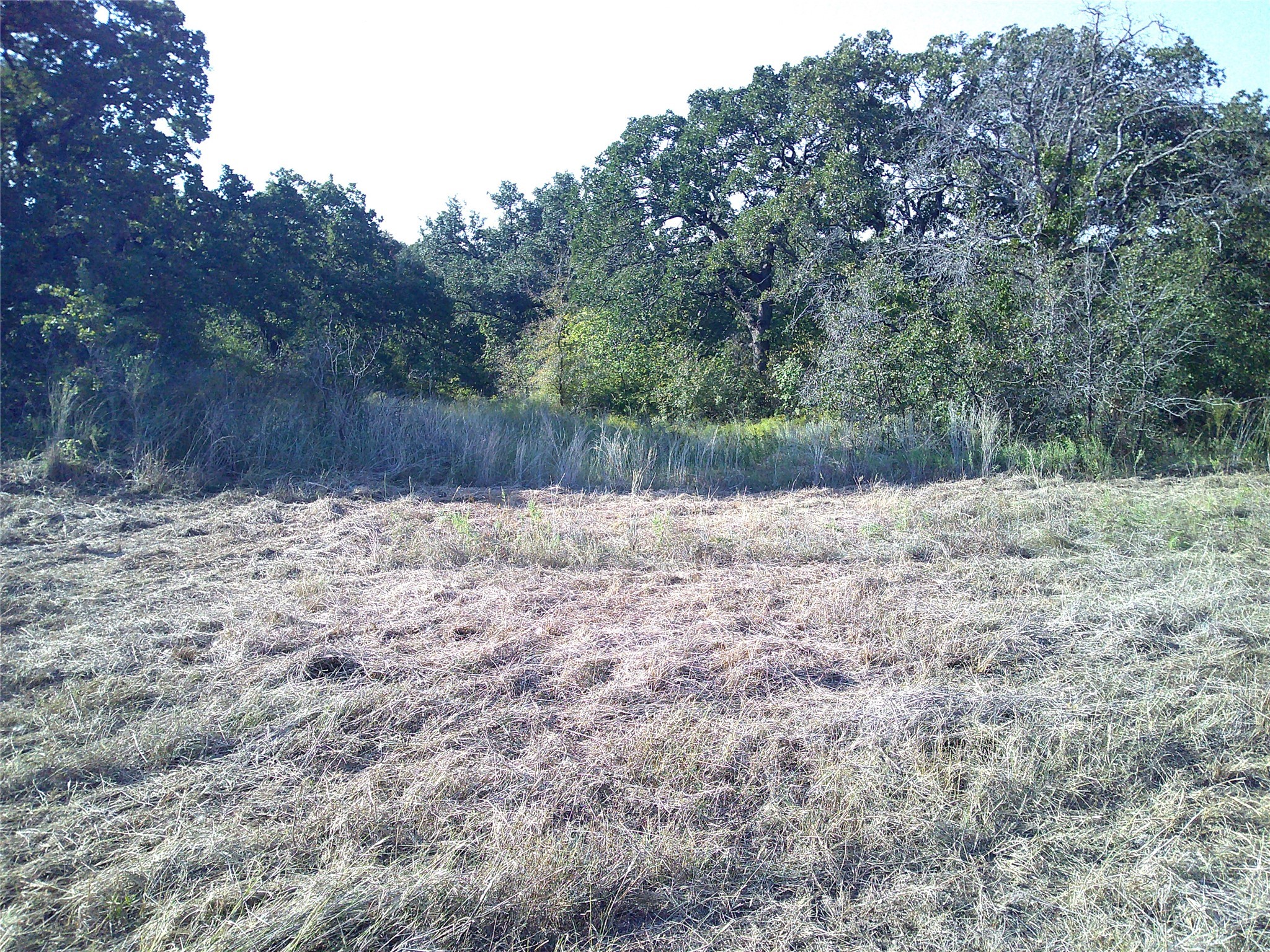 72 Ac Cr 3677 Paradise TX 76073