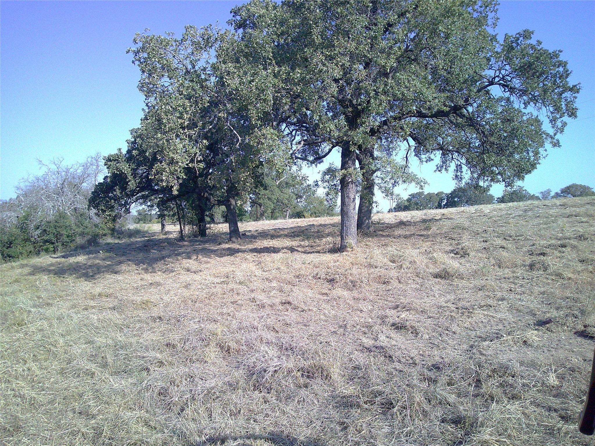 72 Ac Cr 3677 Paradise TX 76073