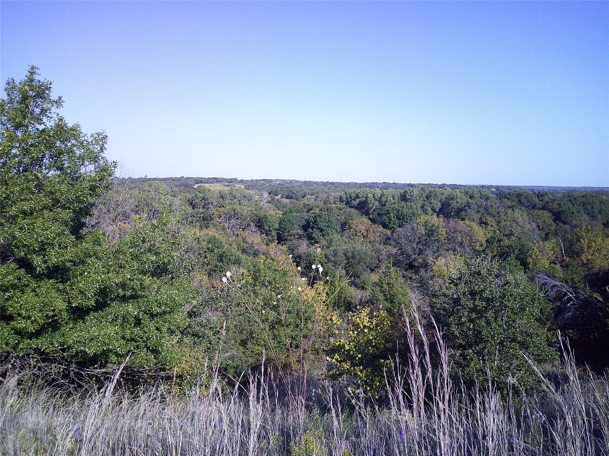 72 Ac Cr 3677 Paradise TX 76073