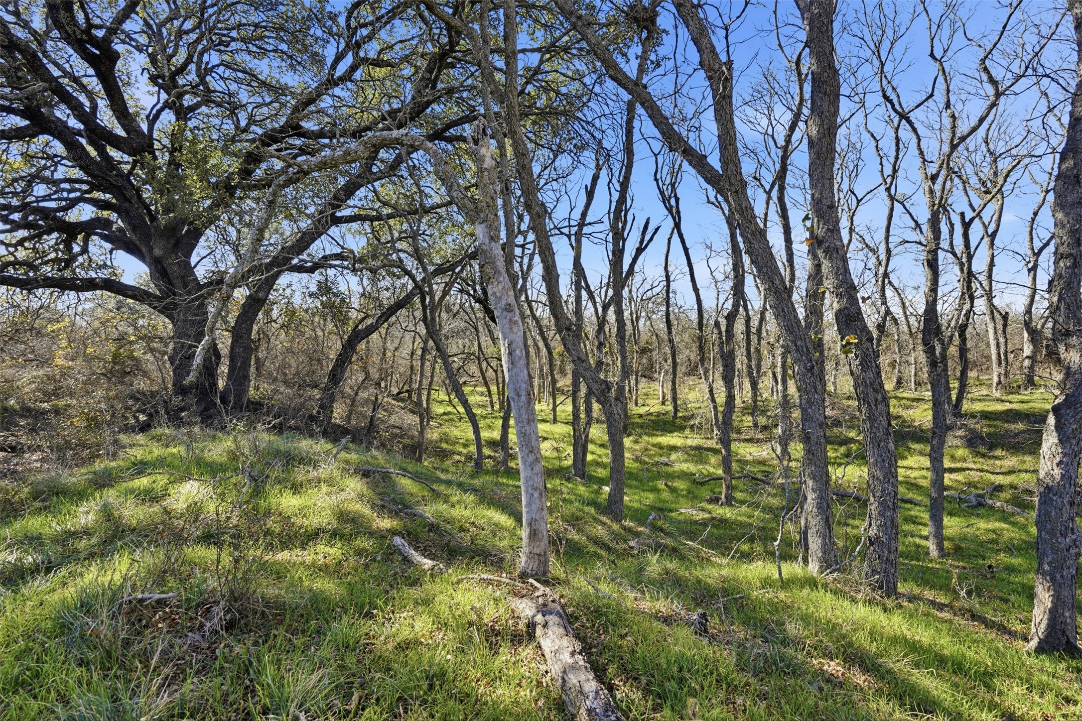 14725 Highway 183 N May TX 76857
