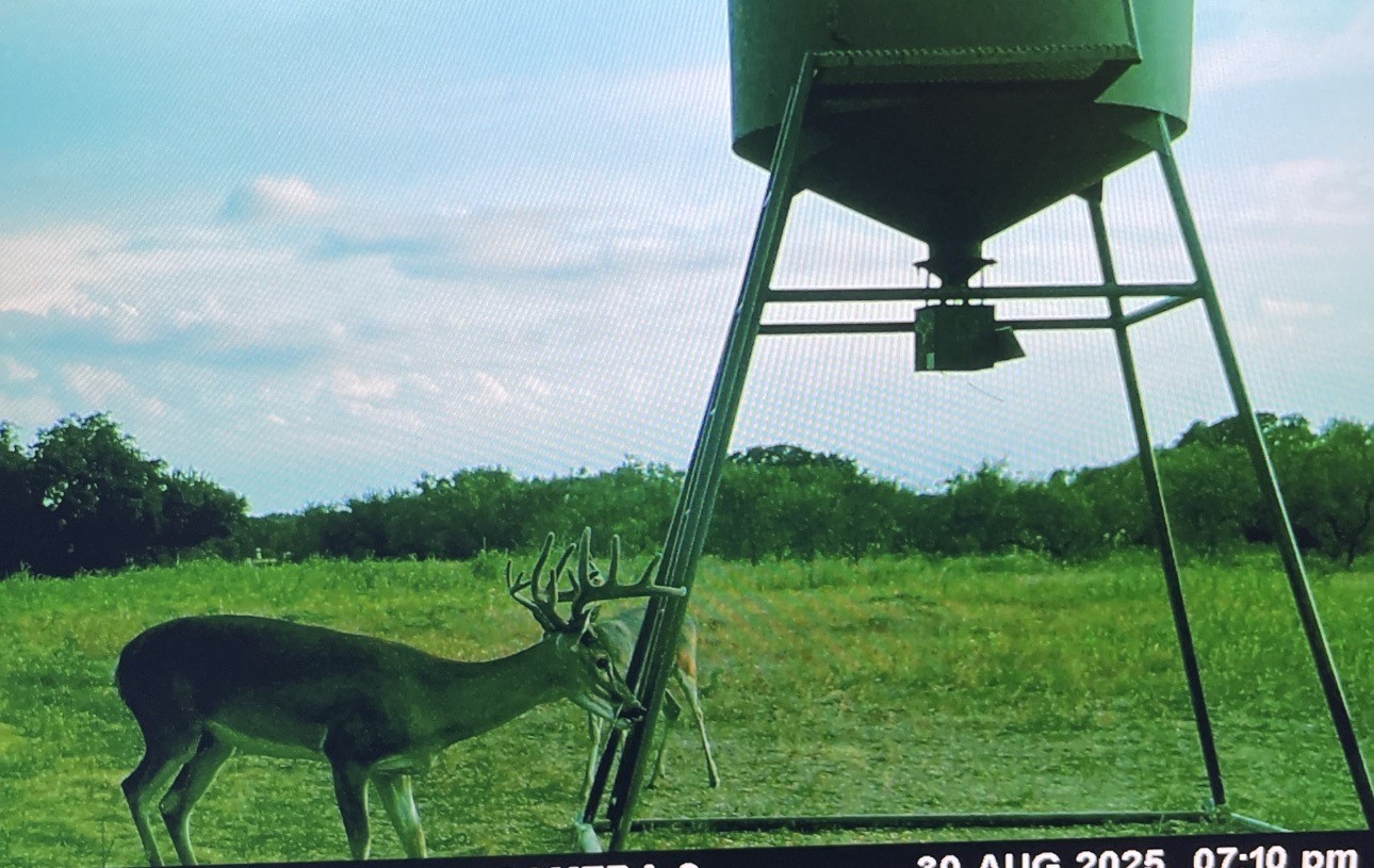 14725 Highway 183 N May TX 76857