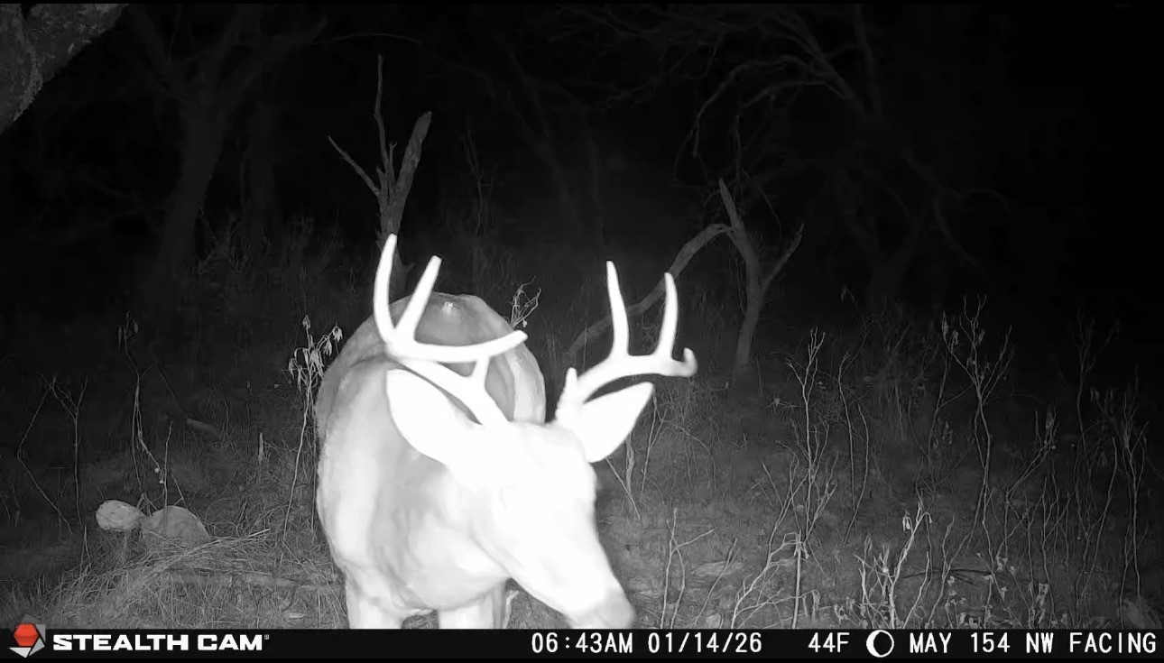14725 Highway 183 N May TX 76857