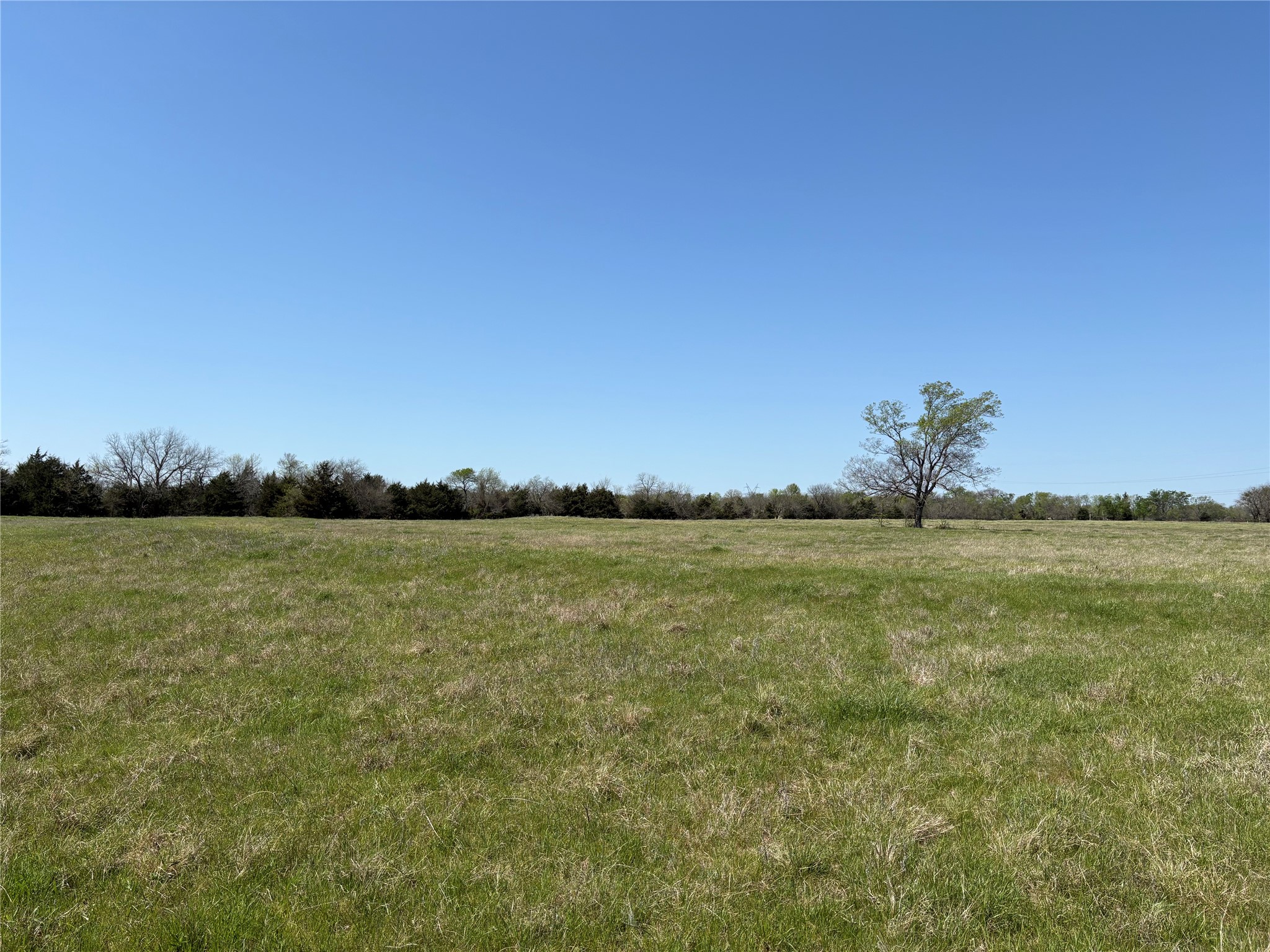 Tbd 14ac County Road 4744 Sulphur Springs TX 75482