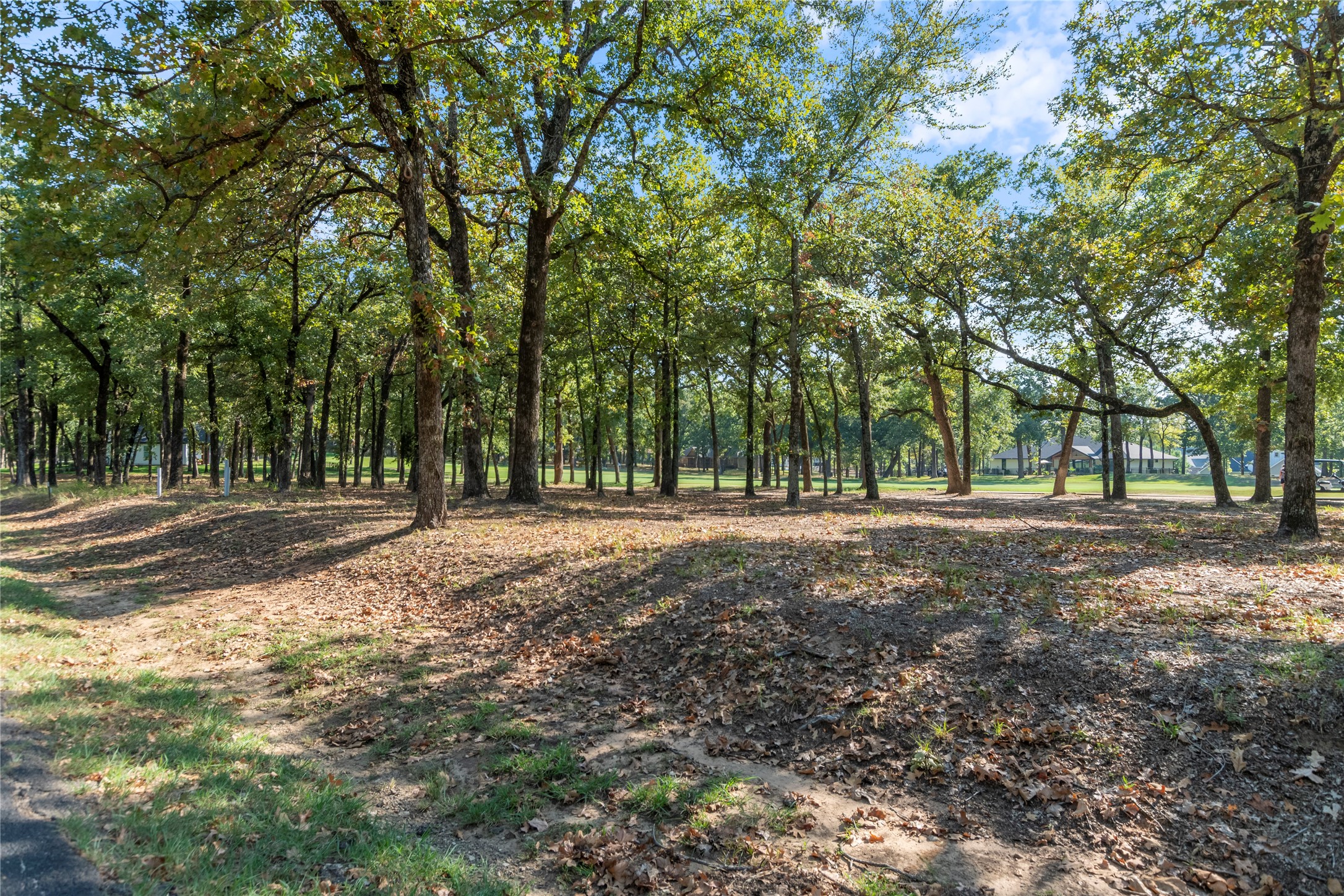 223 Colonial Drive Mabank TX 75156