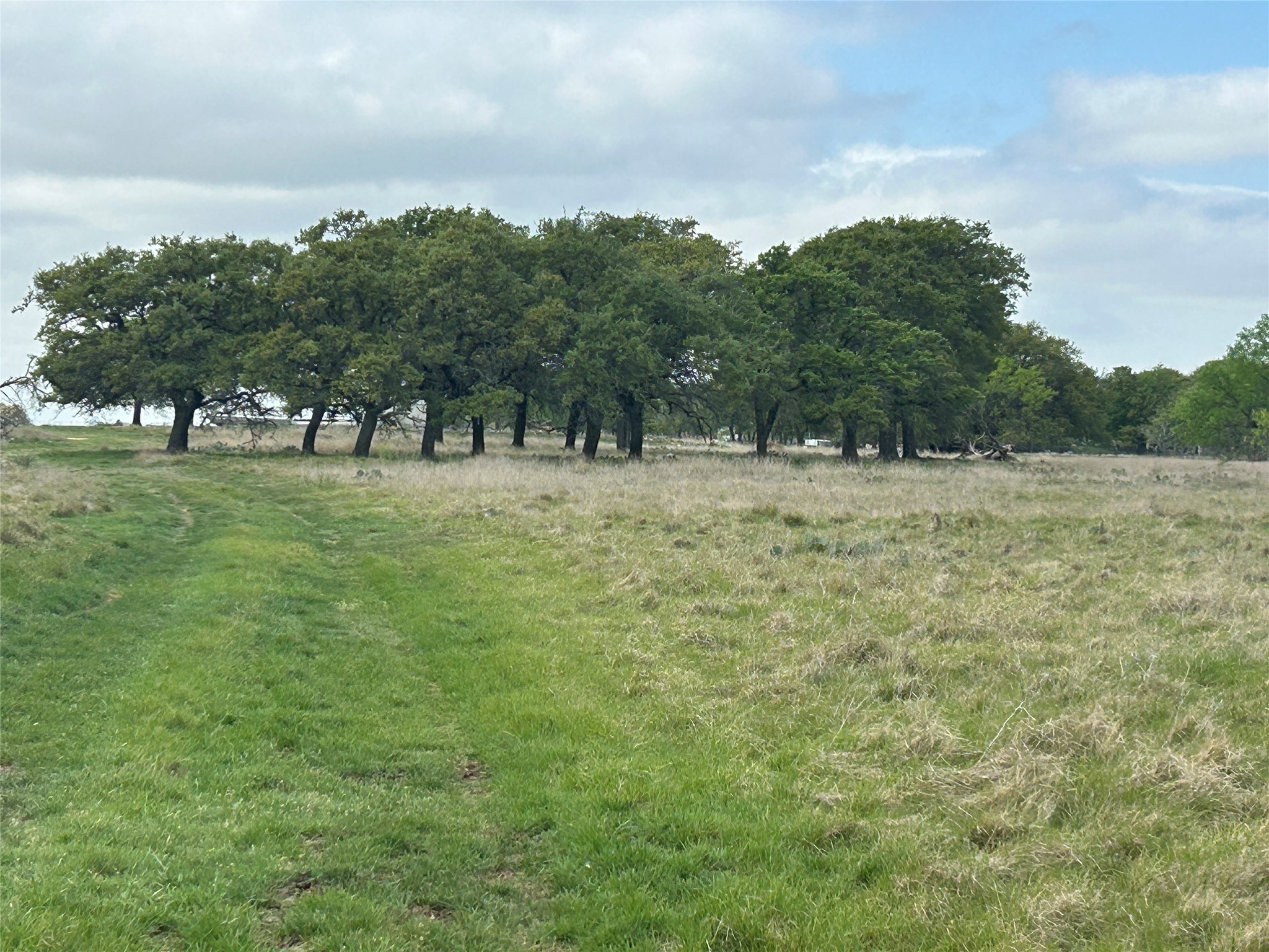 198 County Road 259 Goldthwaite TX 76844