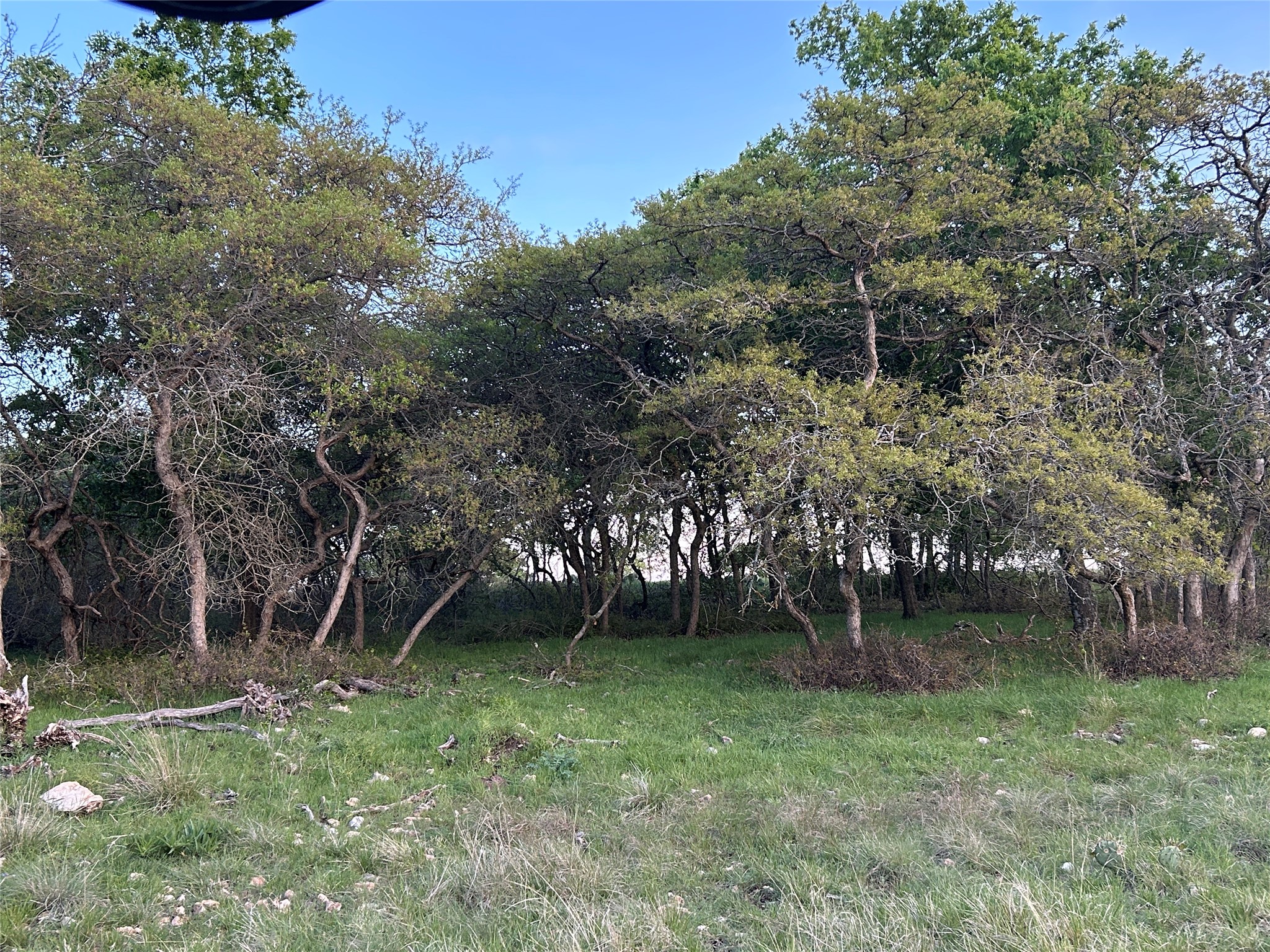 198 County Road 259 Goldthwaite TX 76844