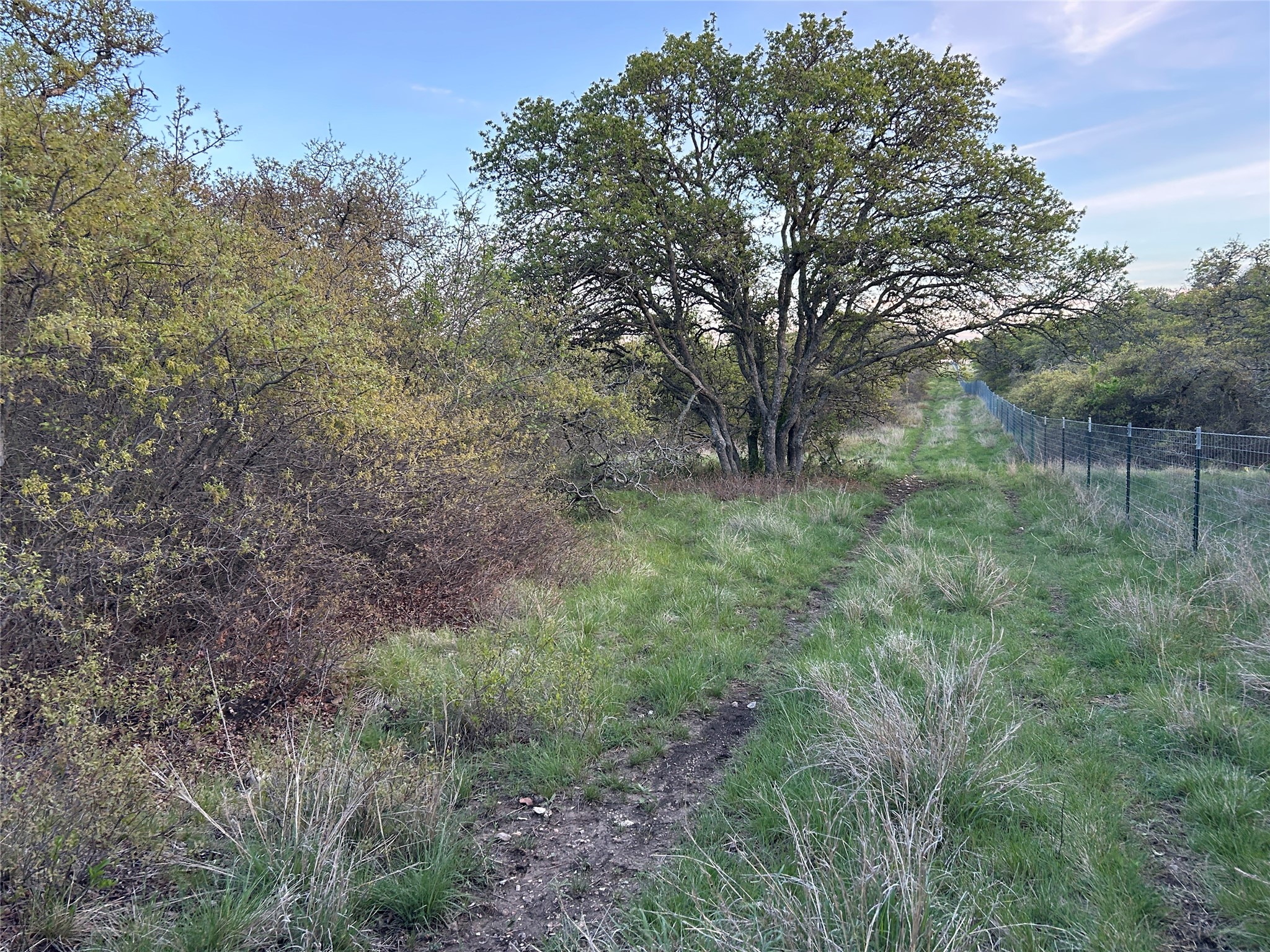 198 County Road 259 Goldthwaite TX 76844